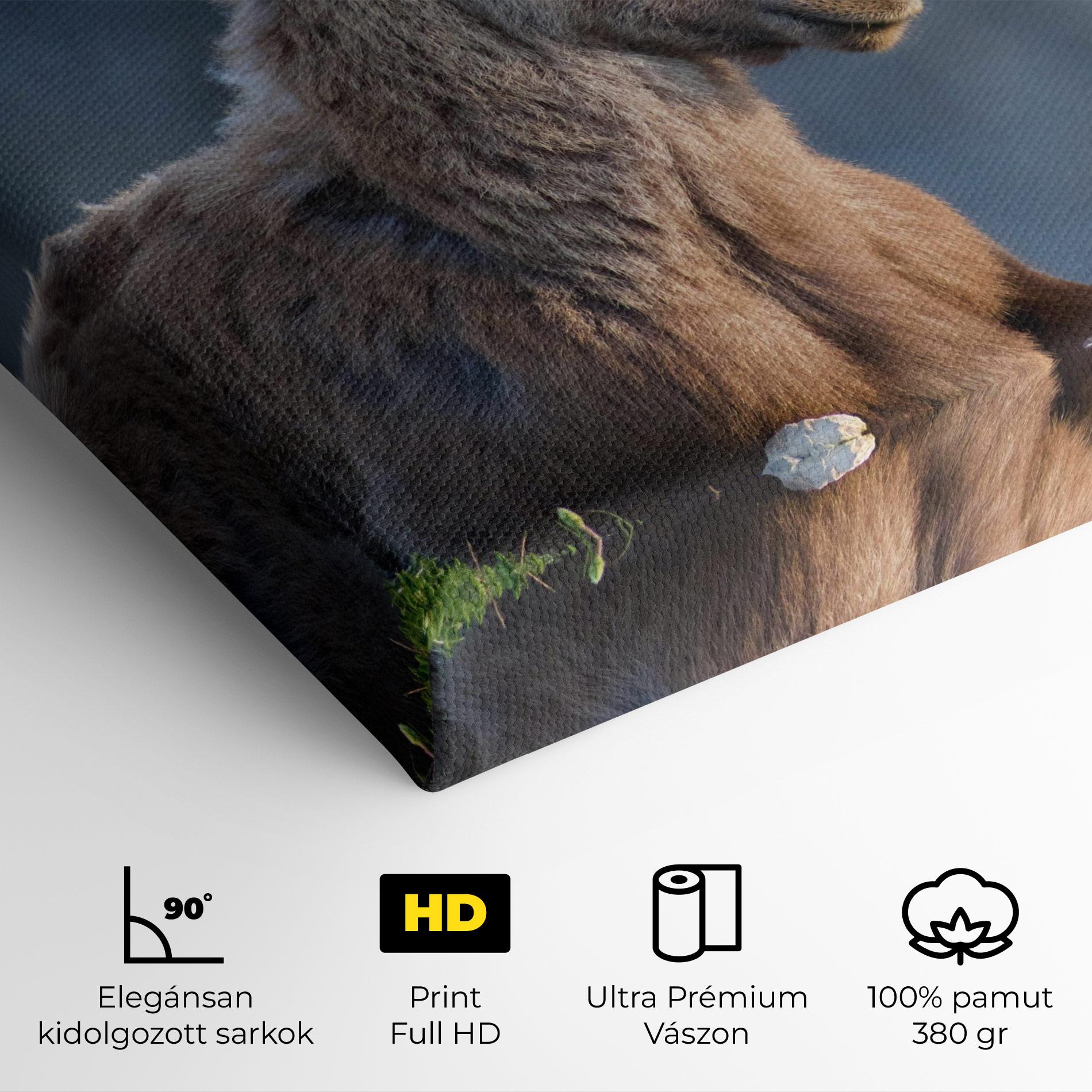 Vászonkép Mountain Goat mockup 4