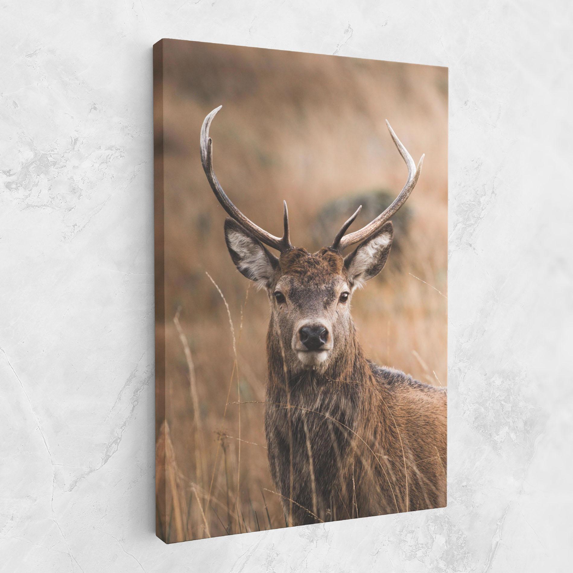 Vászonkép Majestic Deer mockup 1