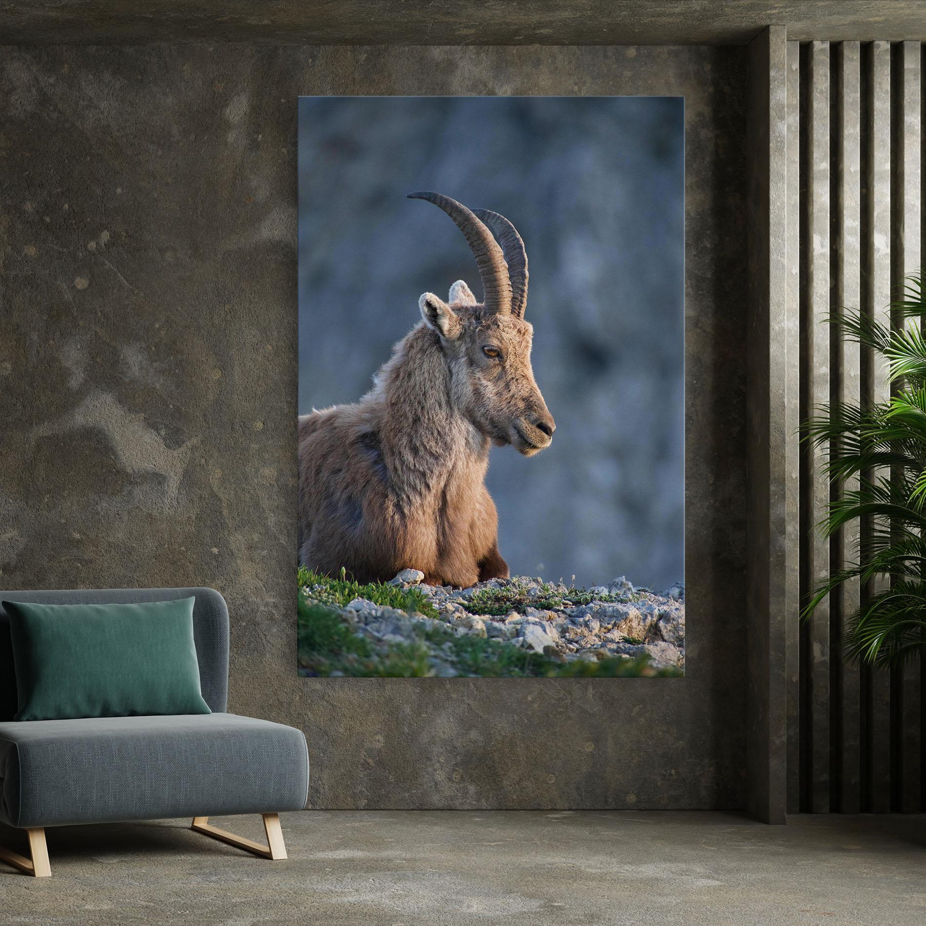 Vászonkép Mountain Goat mockup 7