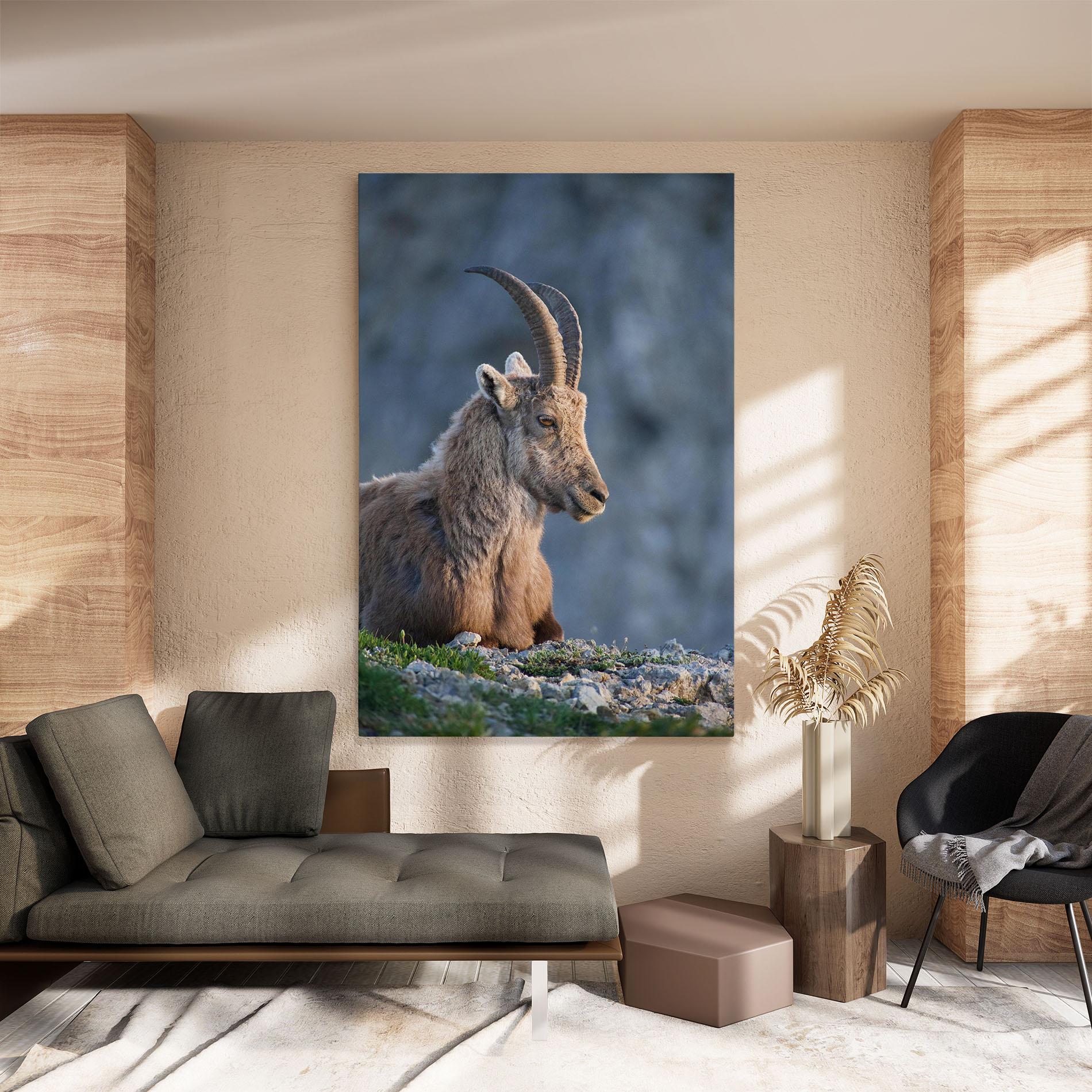 Vászonkép Mountain Goat mockup 8