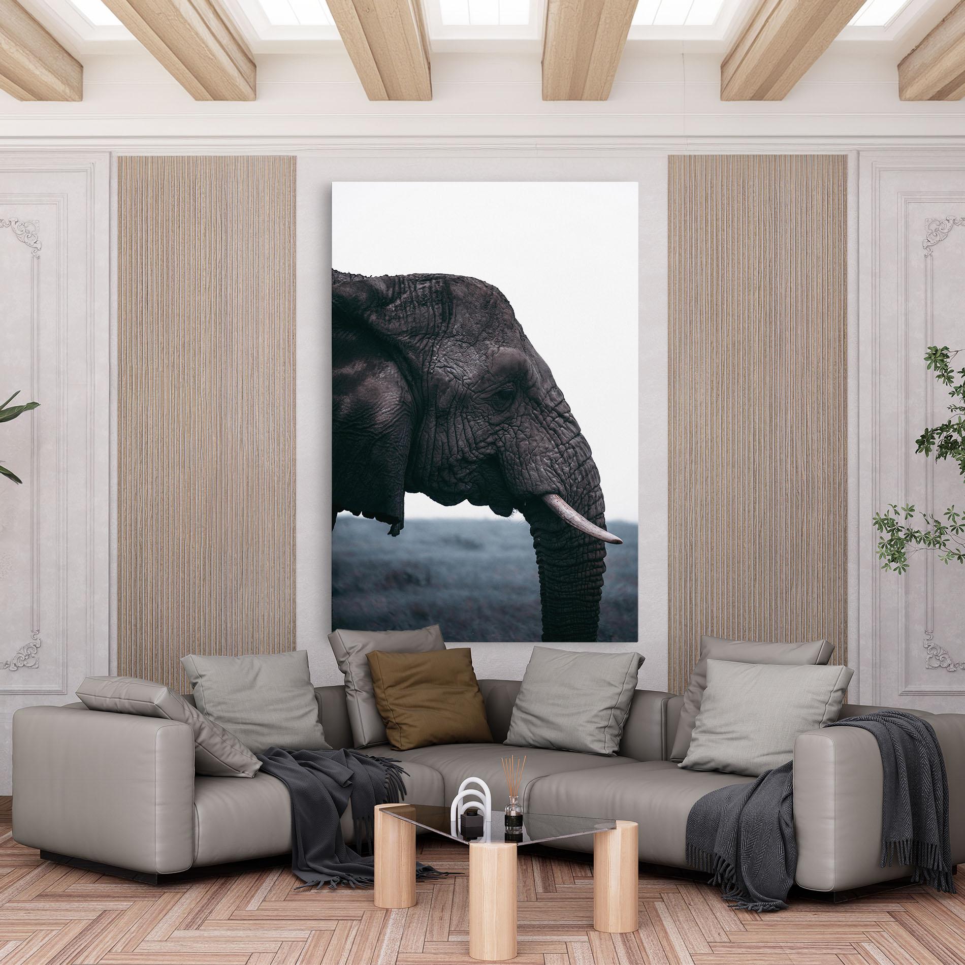 Vászonkép Close Grey Eelephant mockup 6