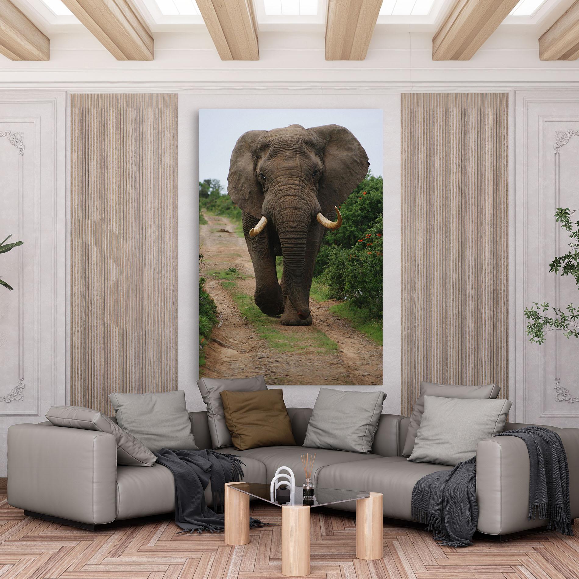 Vászonkép Elephant Safari mockup 6