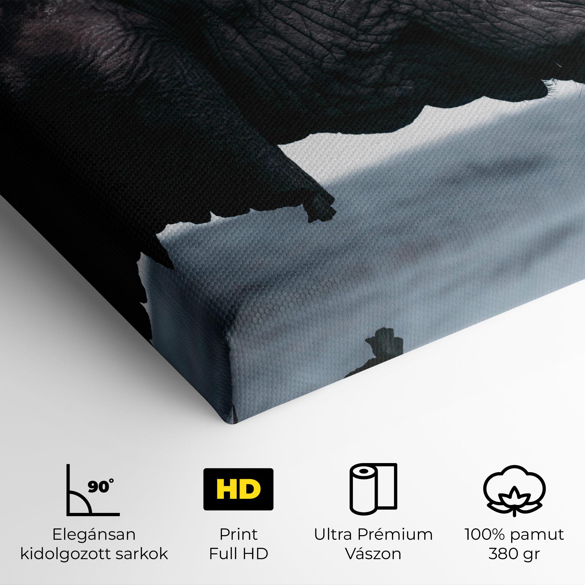 Vászonkép Close Grey Eelephant mockup 4