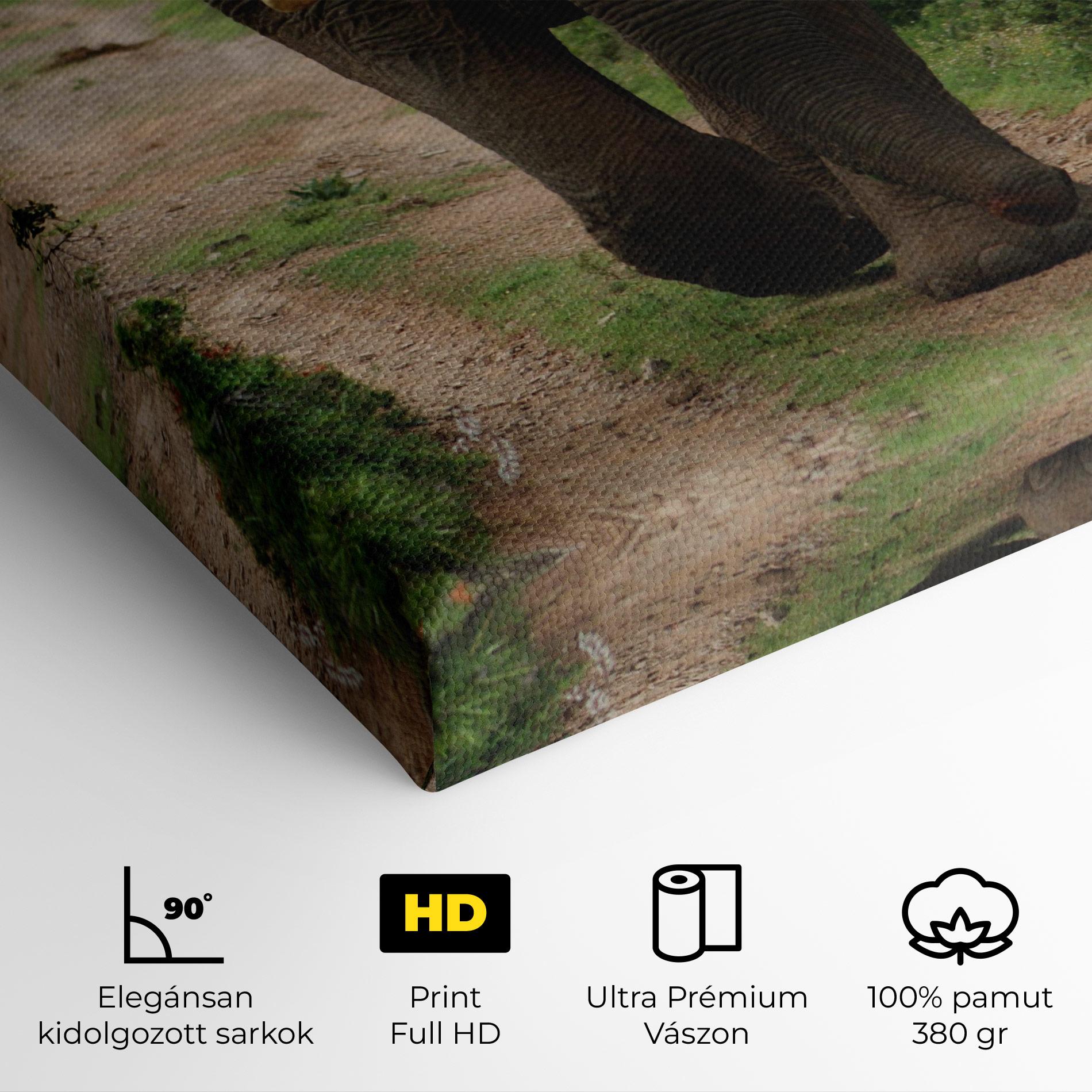 Vászonkép Elephant Safari mockup 4