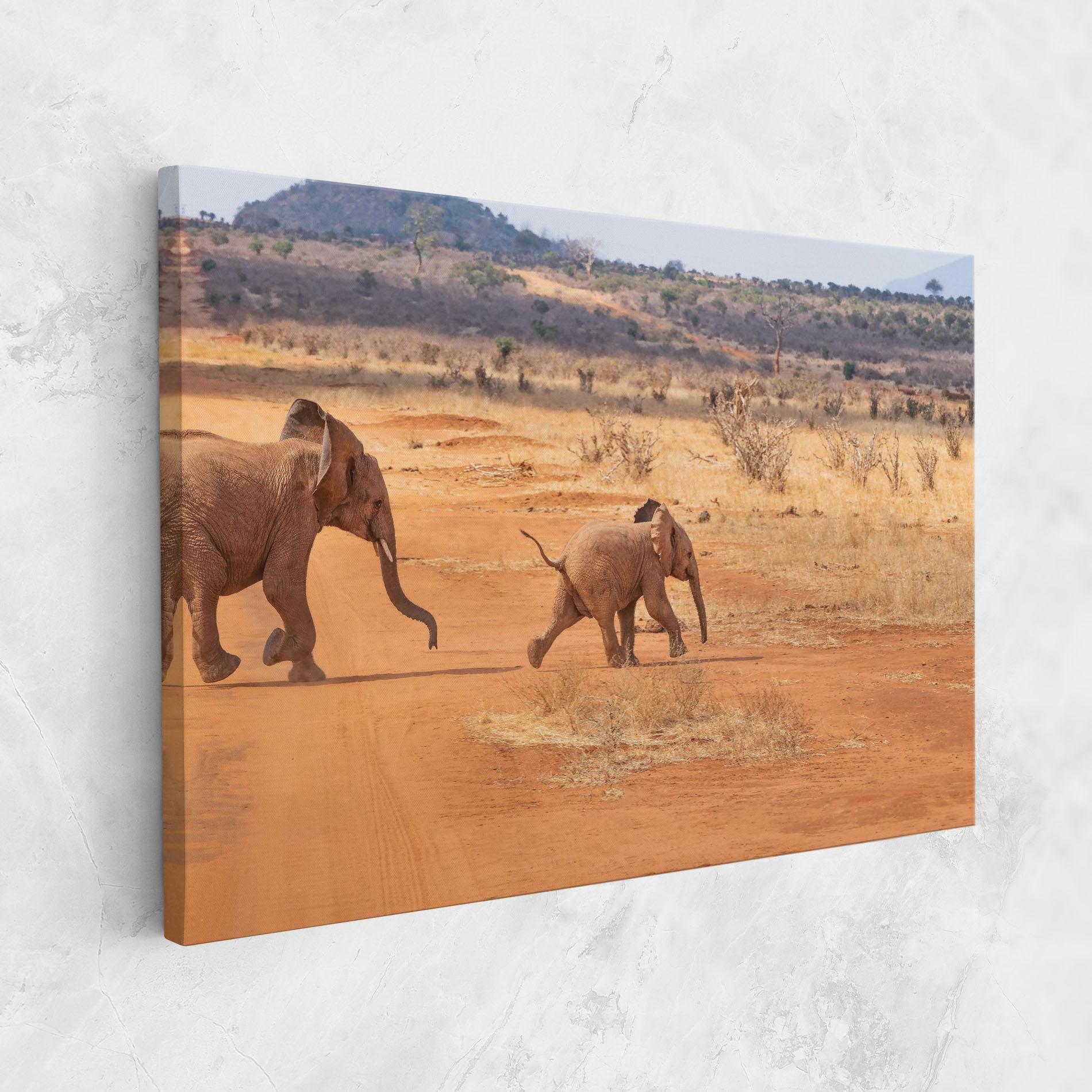 Vászonkép Desert Safari mockup 1