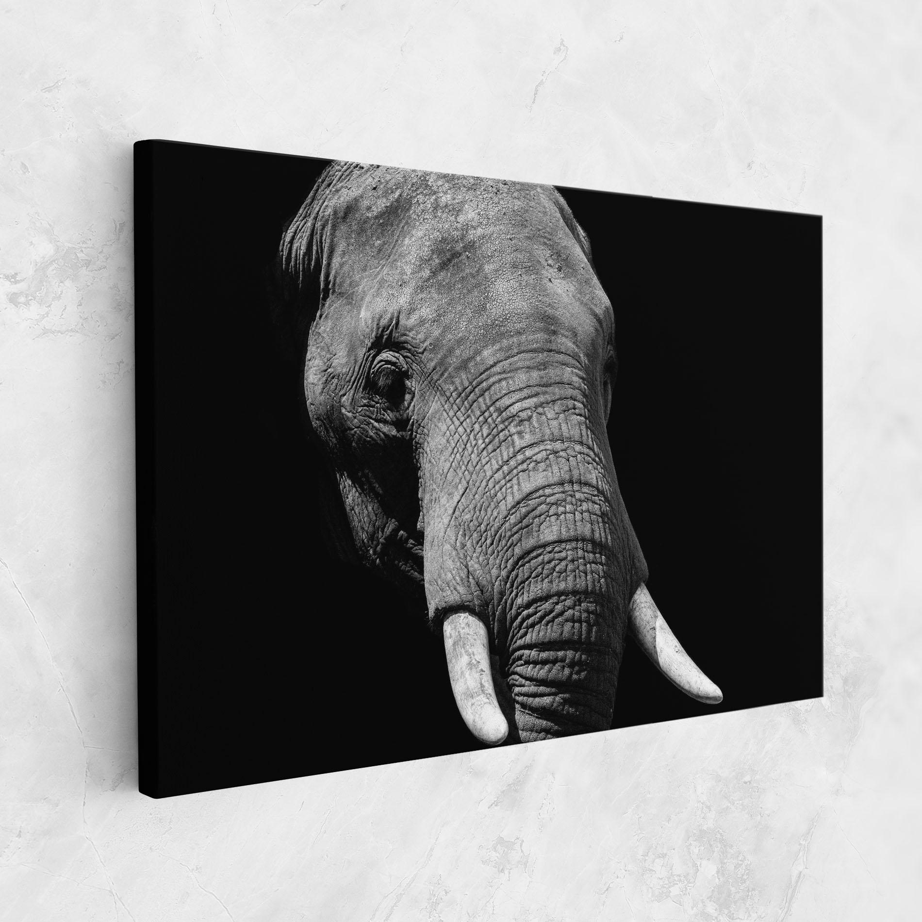 Vászonkép Shadow Elephant mockup 1