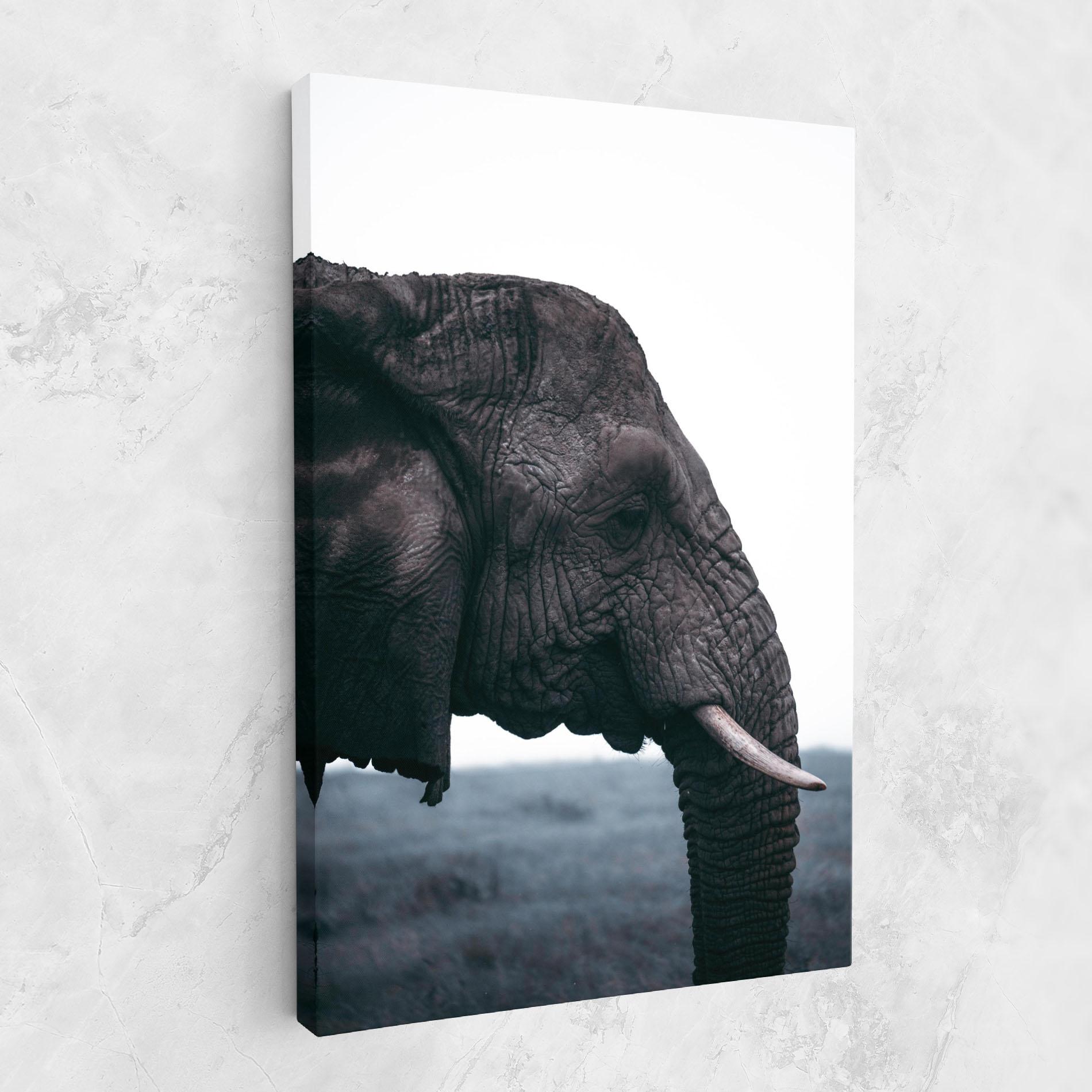 Vászonkép Close Grey Eelephant mockup 1
