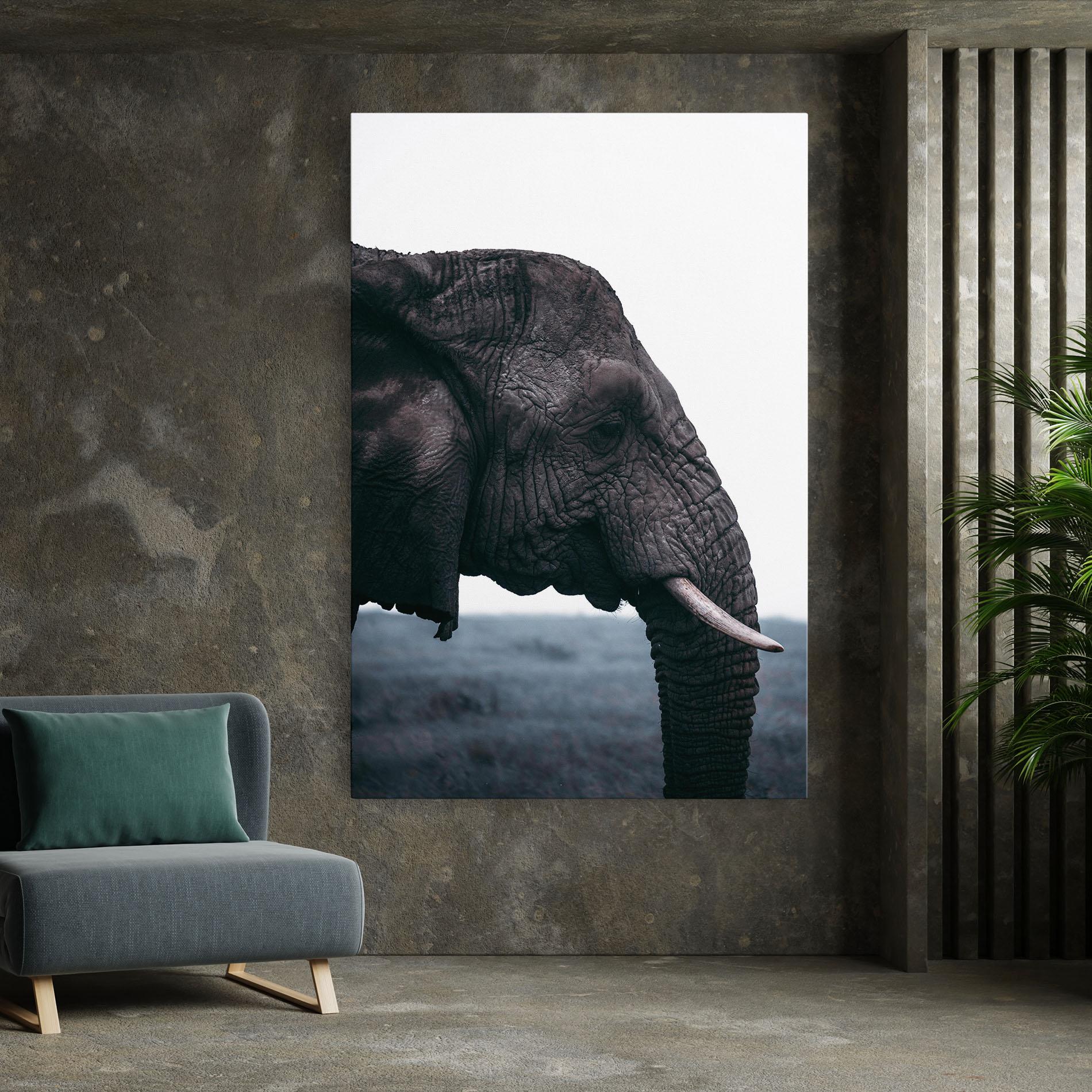 Vászonkép Close Grey Eelephant mockup 7