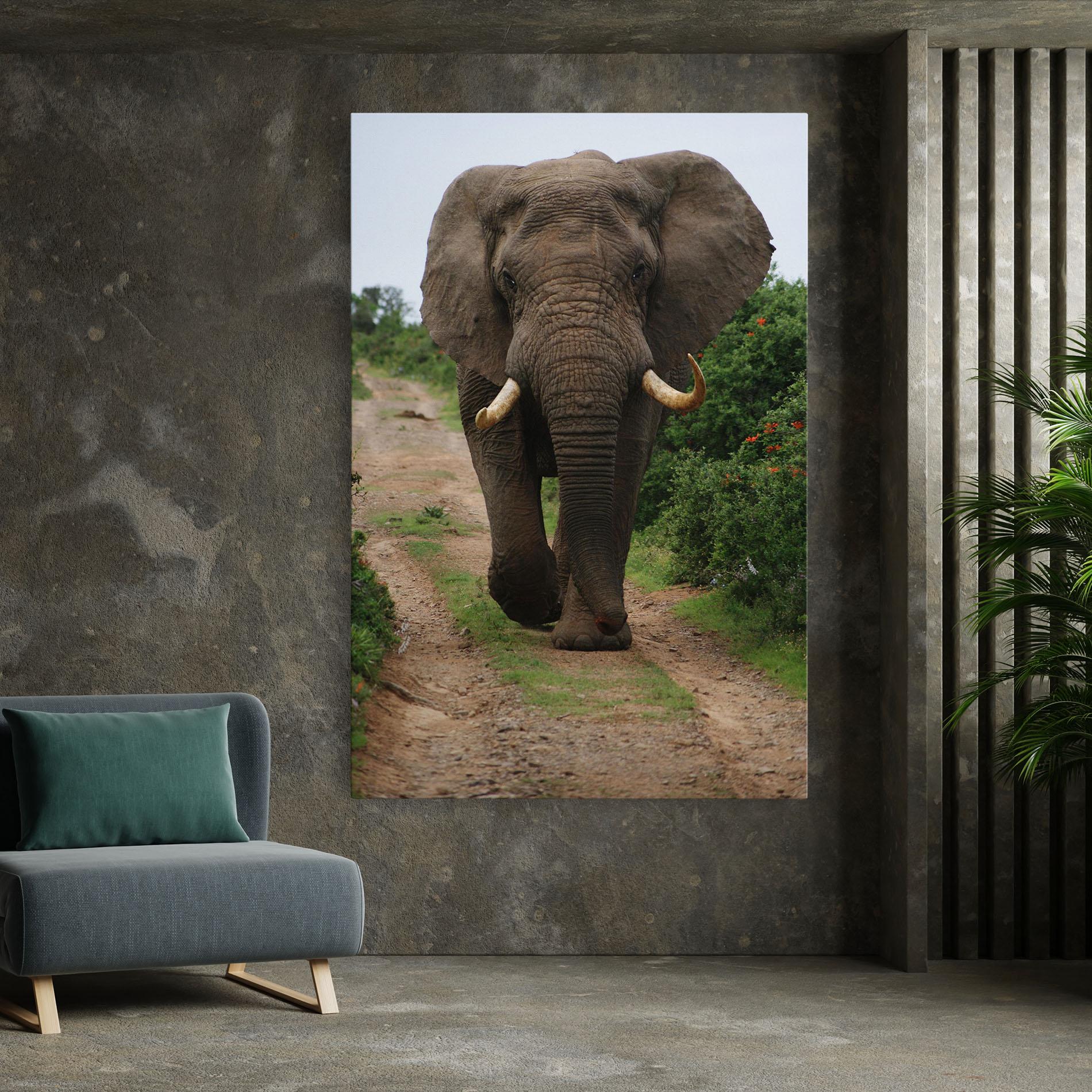 Vászonkép Elephant Safari mockup 7
