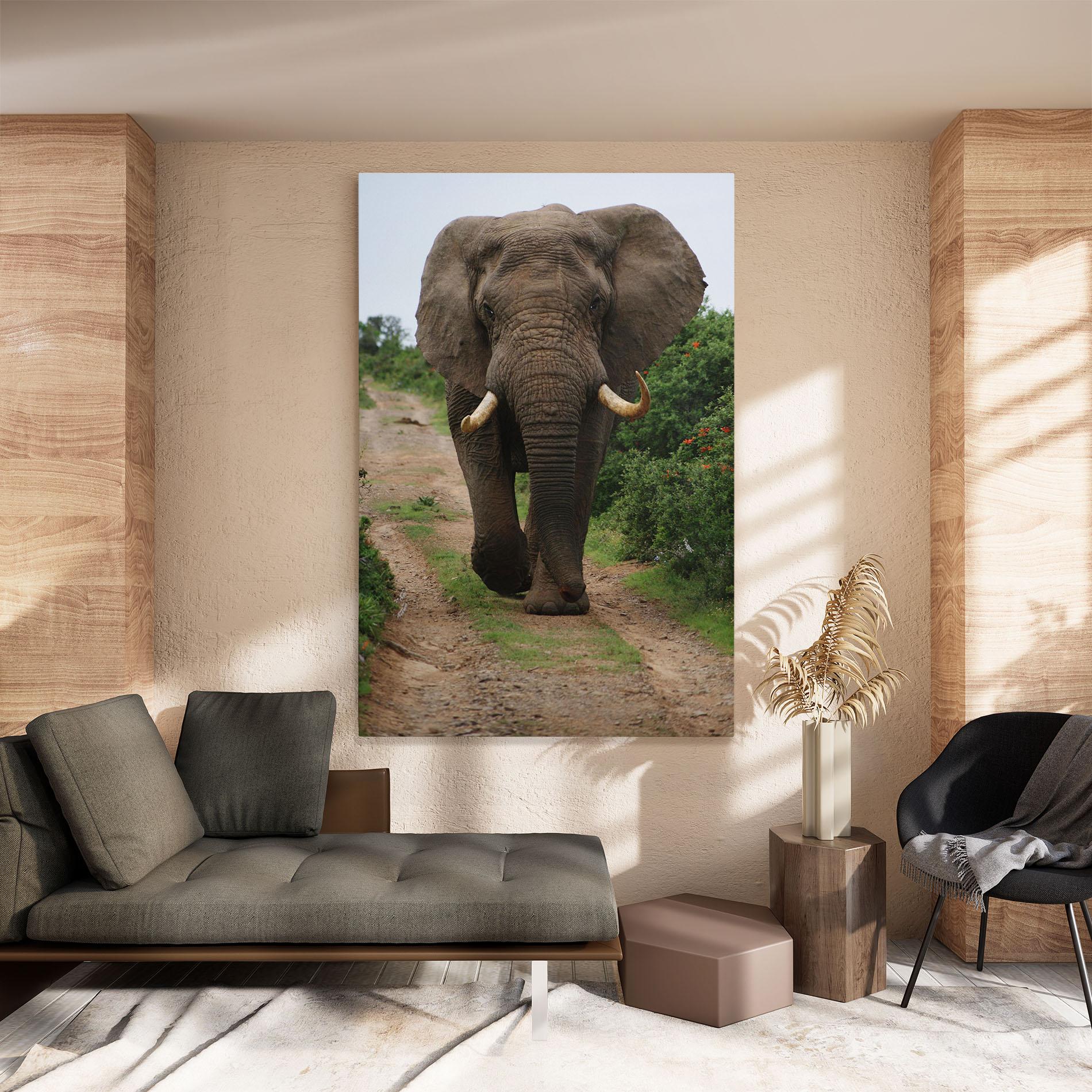 Vászonkép Elephant Safari mockup 8