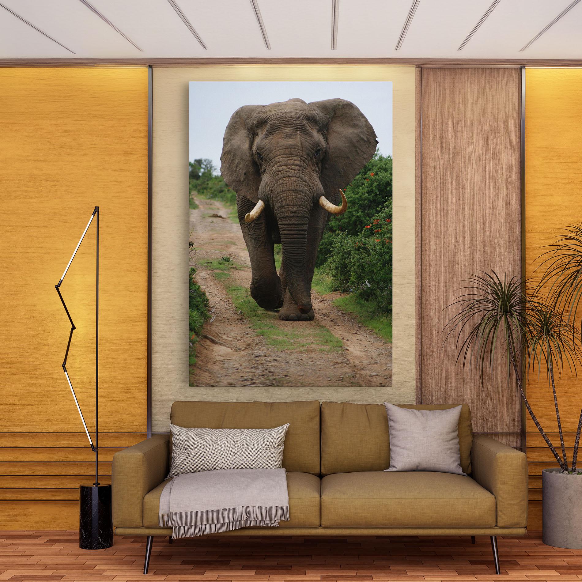 Vászonkép Elephant Safari mockup 9