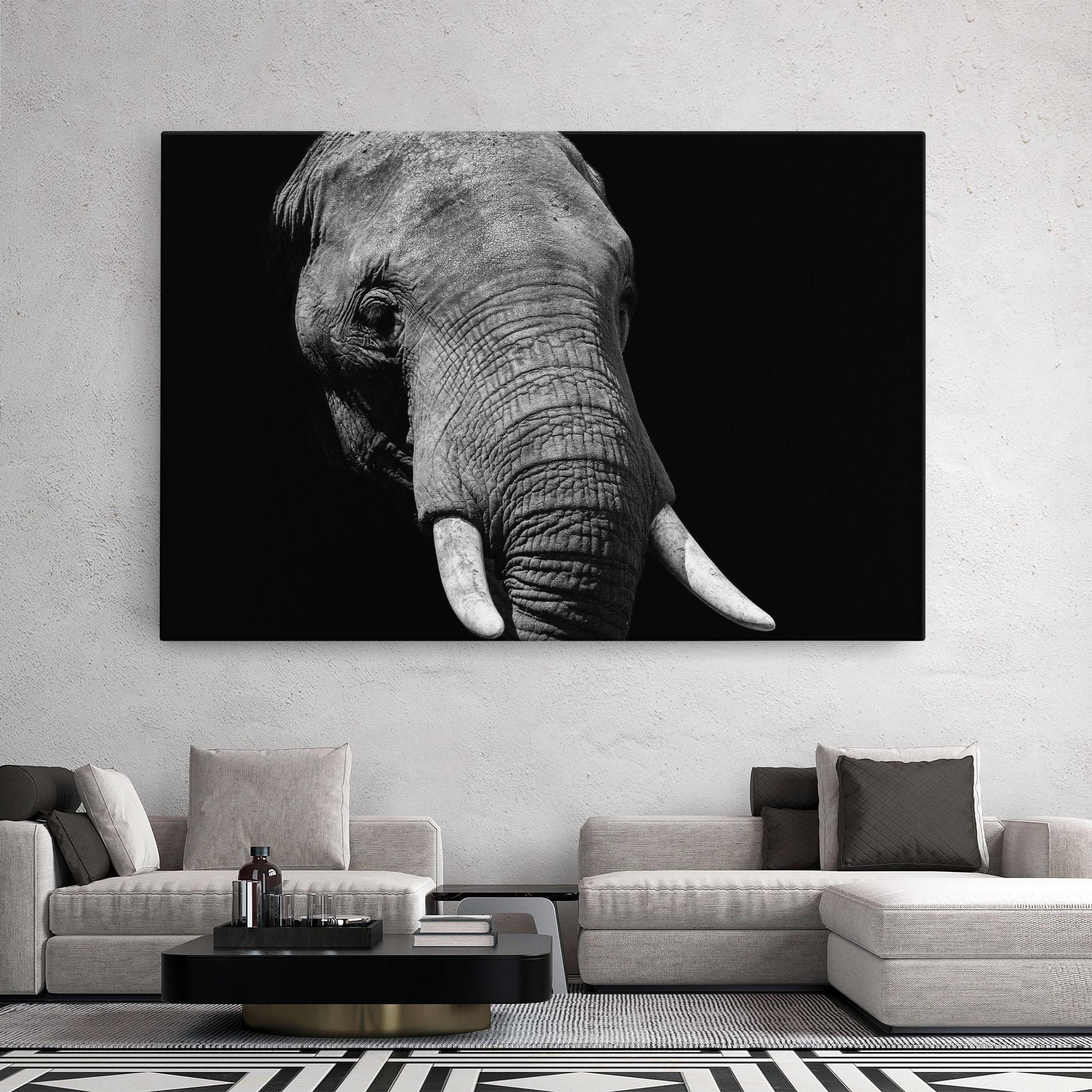 Vászonkép Shadow Elephant mockup 2