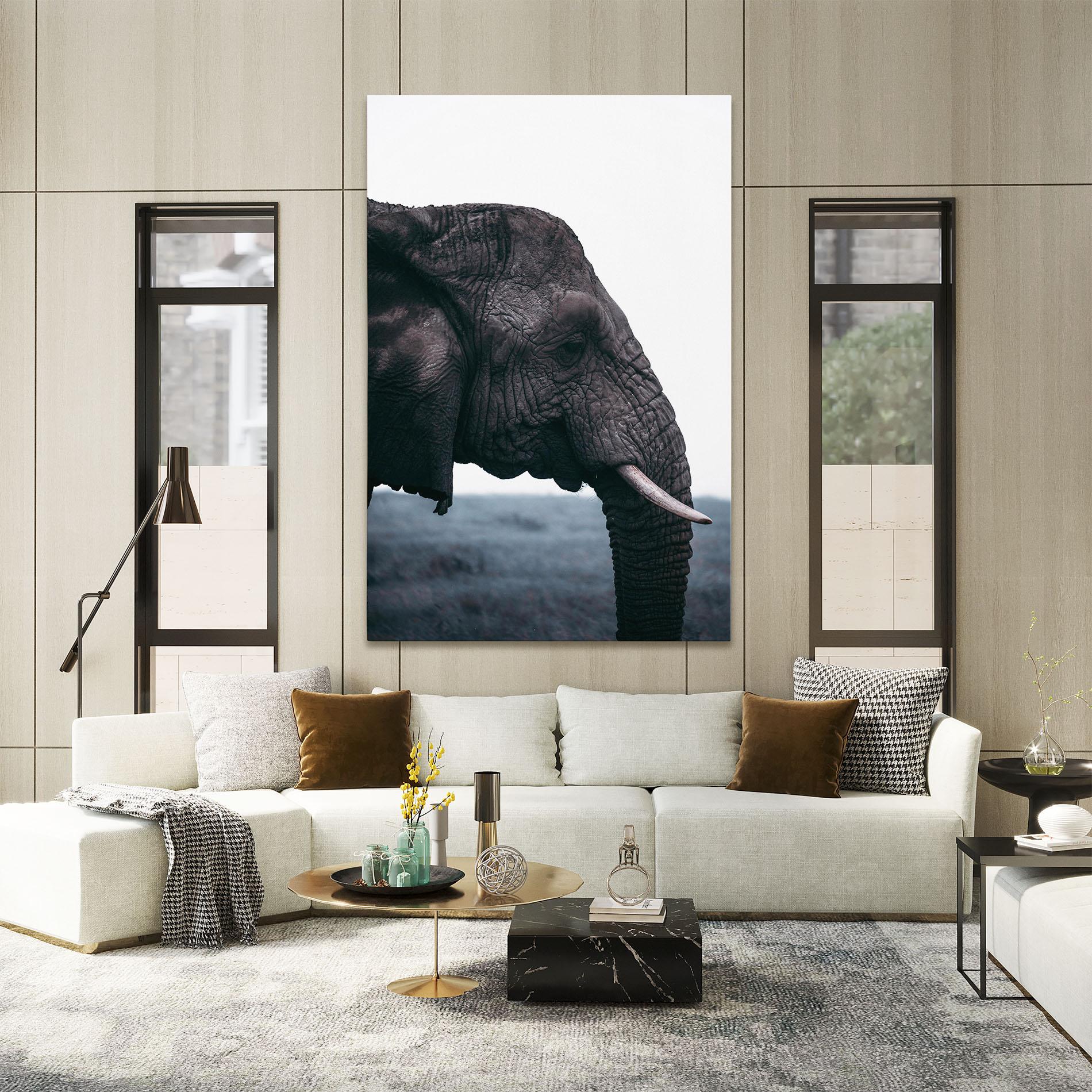 Vászonkép Close Grey Eelephant mockup 2