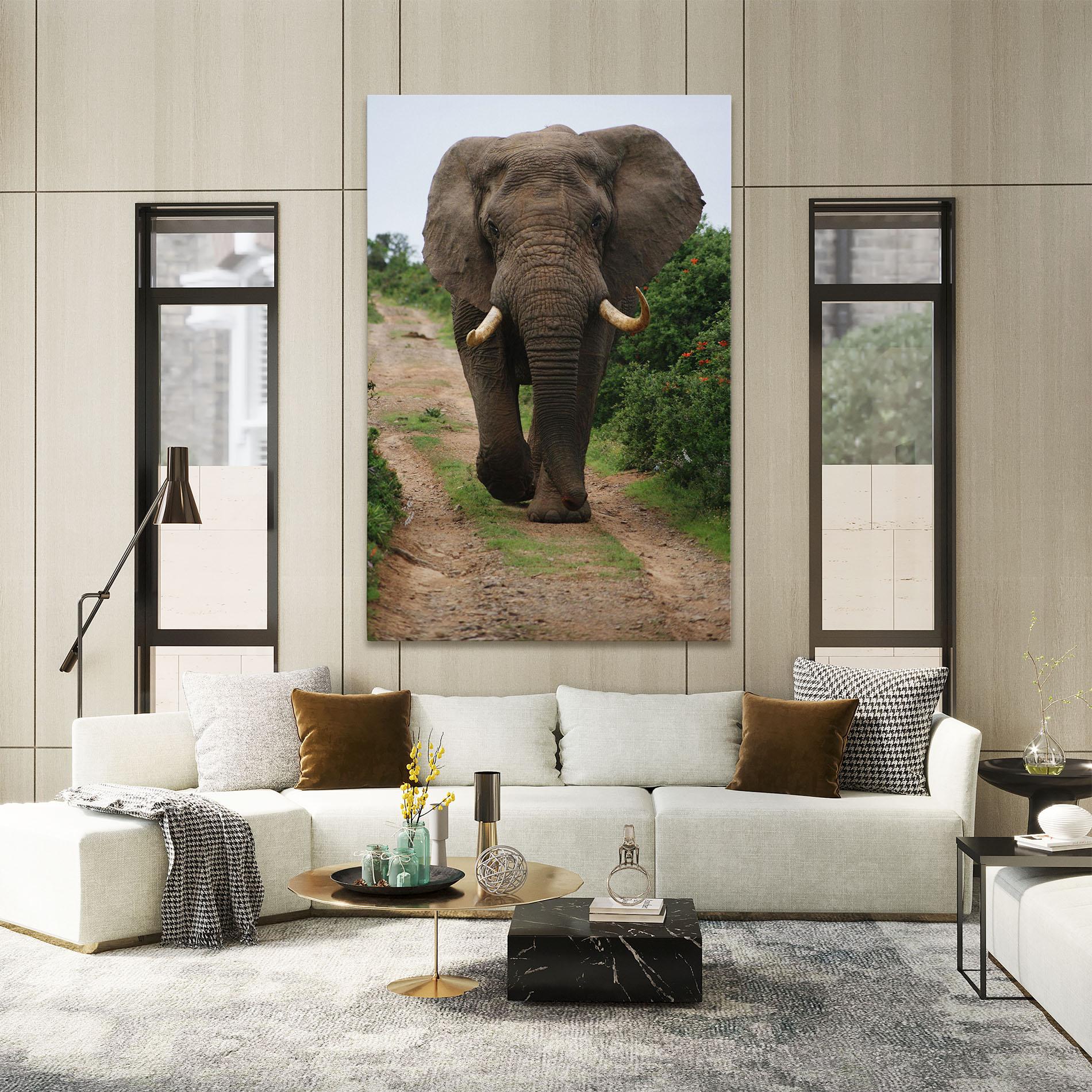 Vászonkép Elephant Safari mockup 2