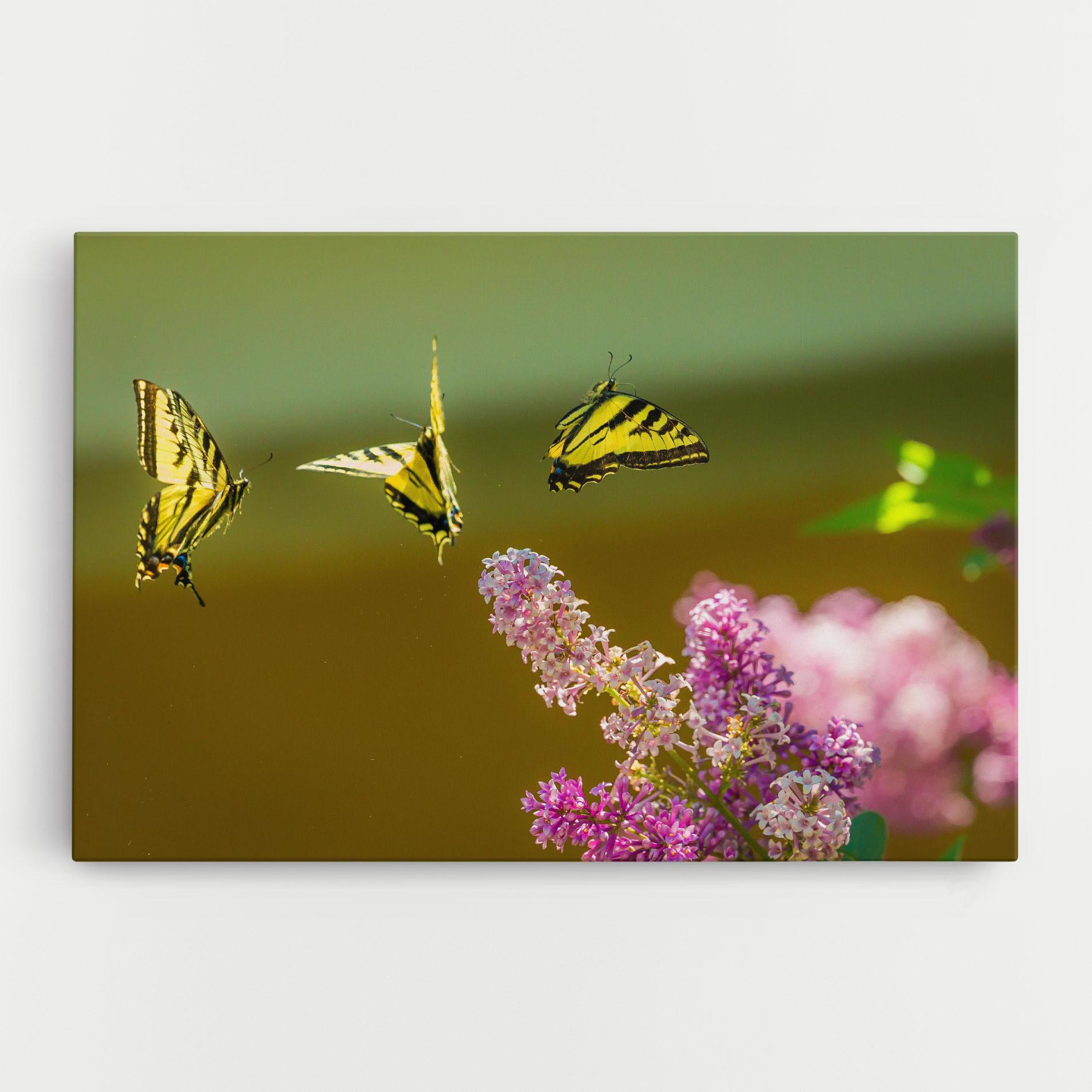 Vászonkép 3 Yellow Butterflies mockup 0