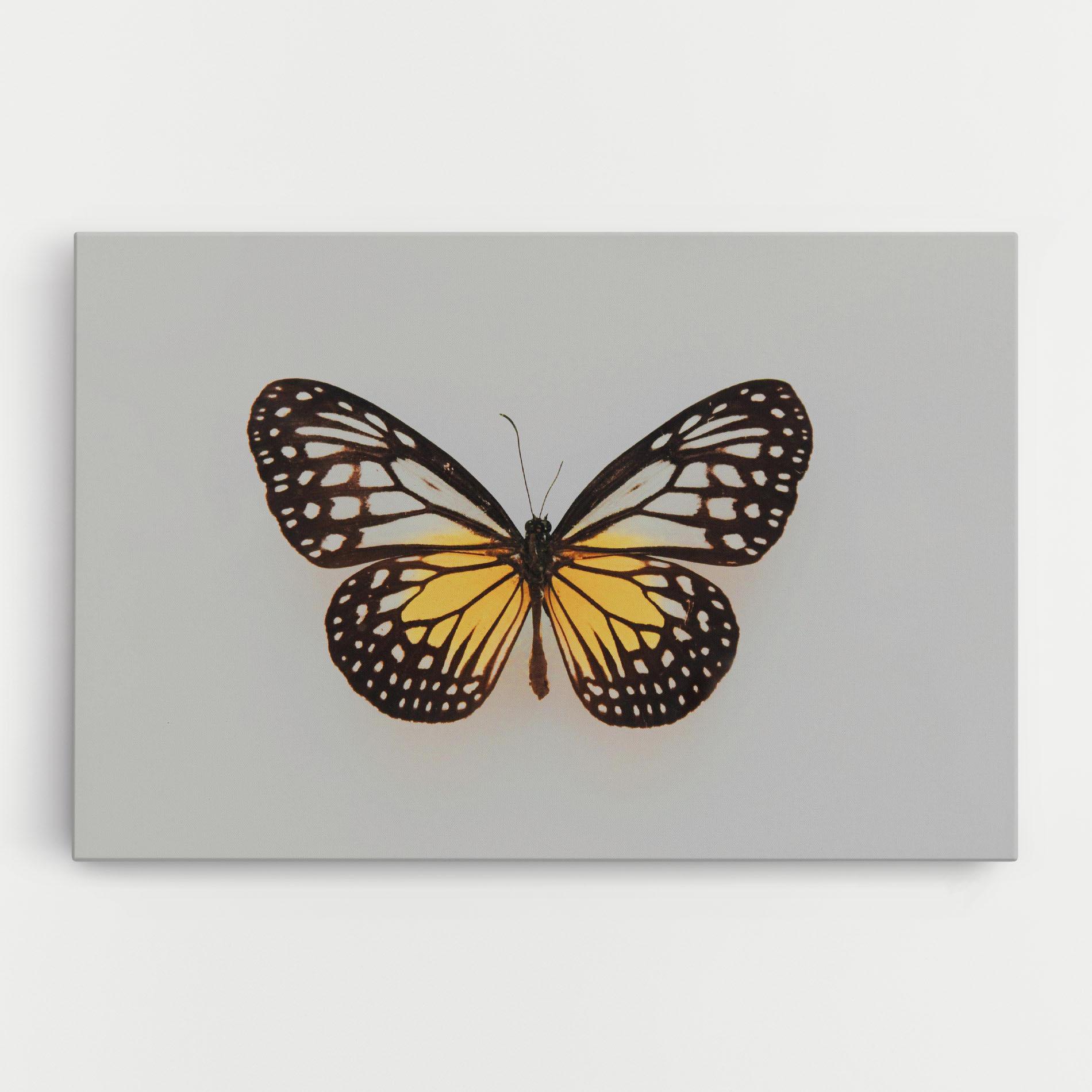 Vászonkép Butterfly On Grey mockup 0