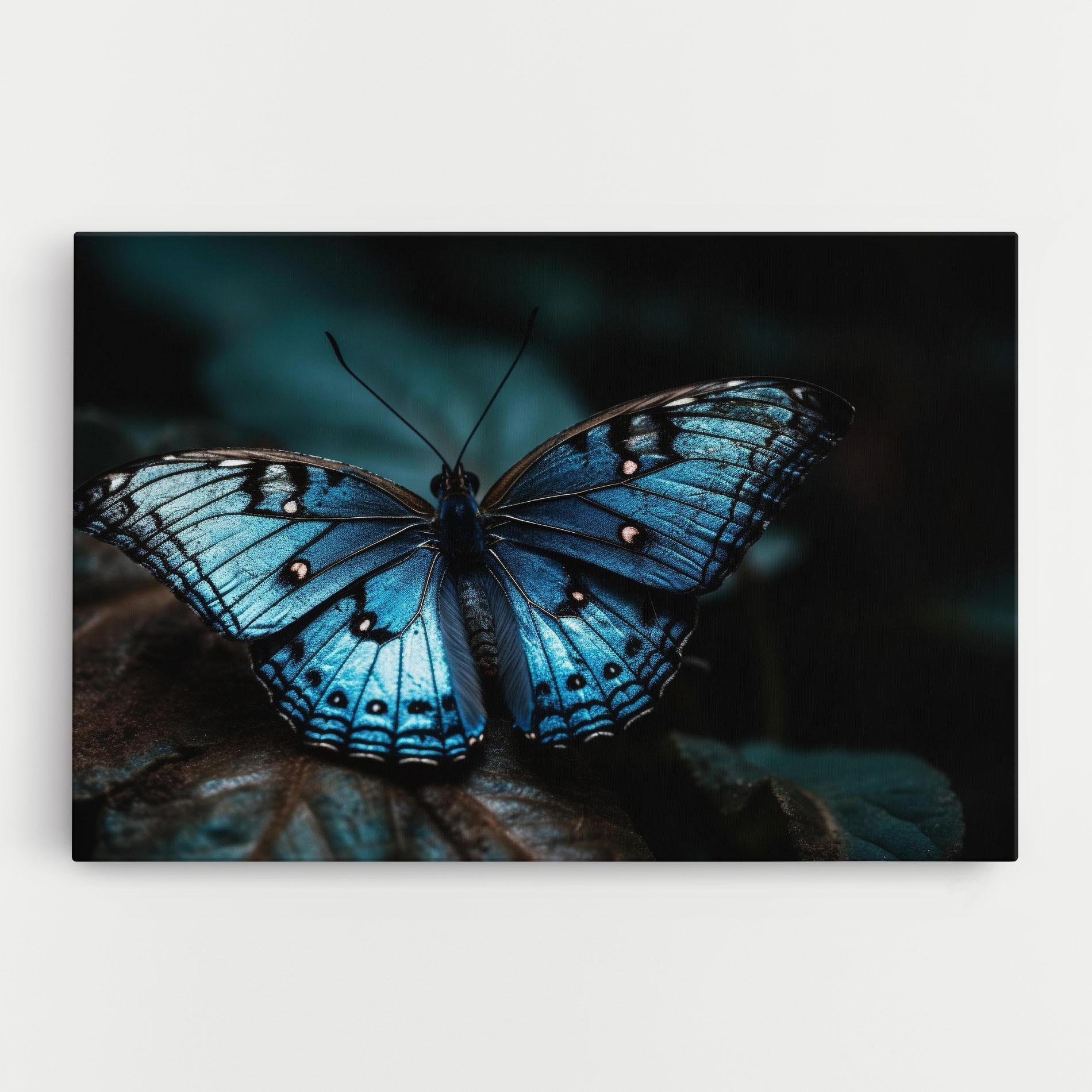 Vászonkép Dark Blue Buterfly mockup 0