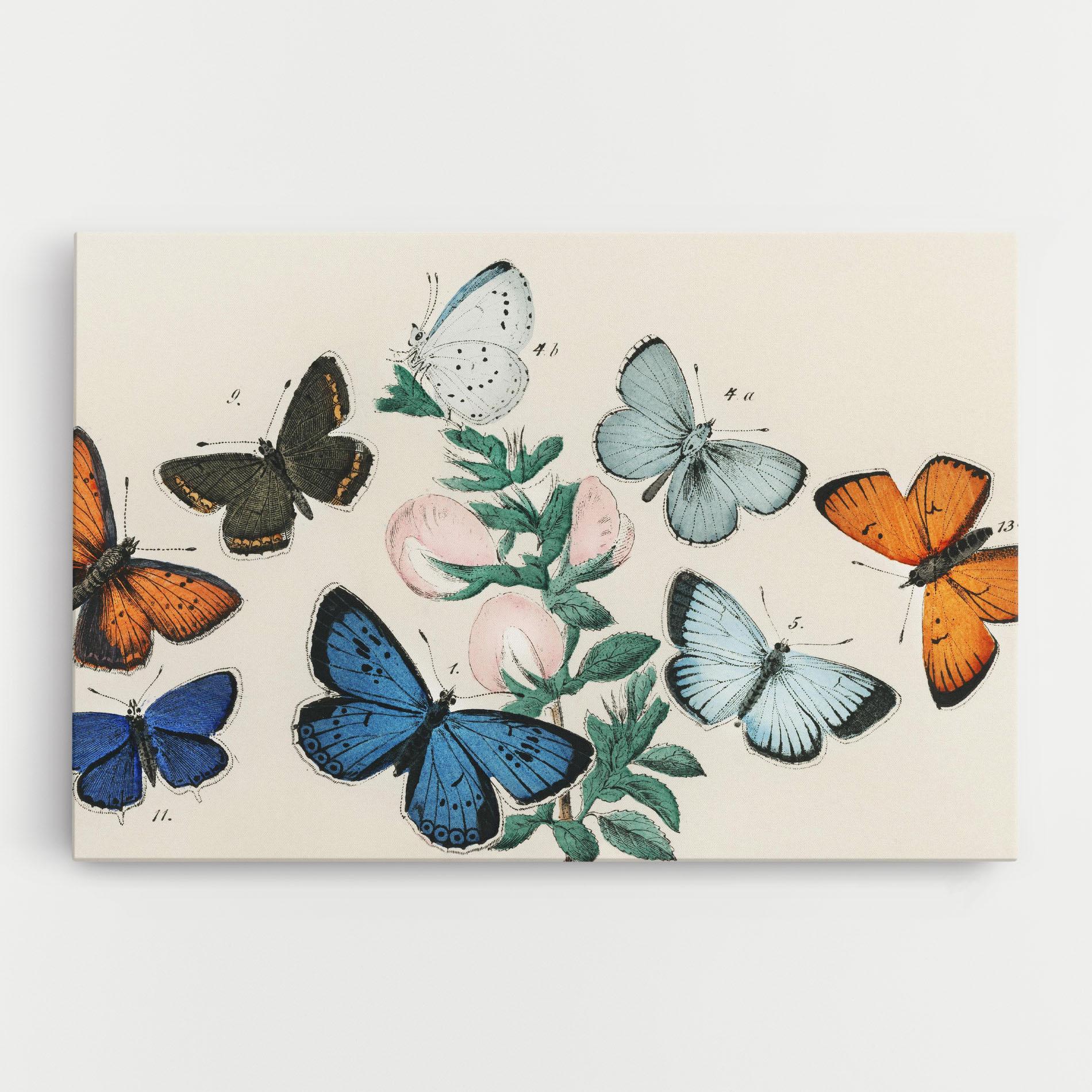 Vászonkép Moving Butterflies mockup 0