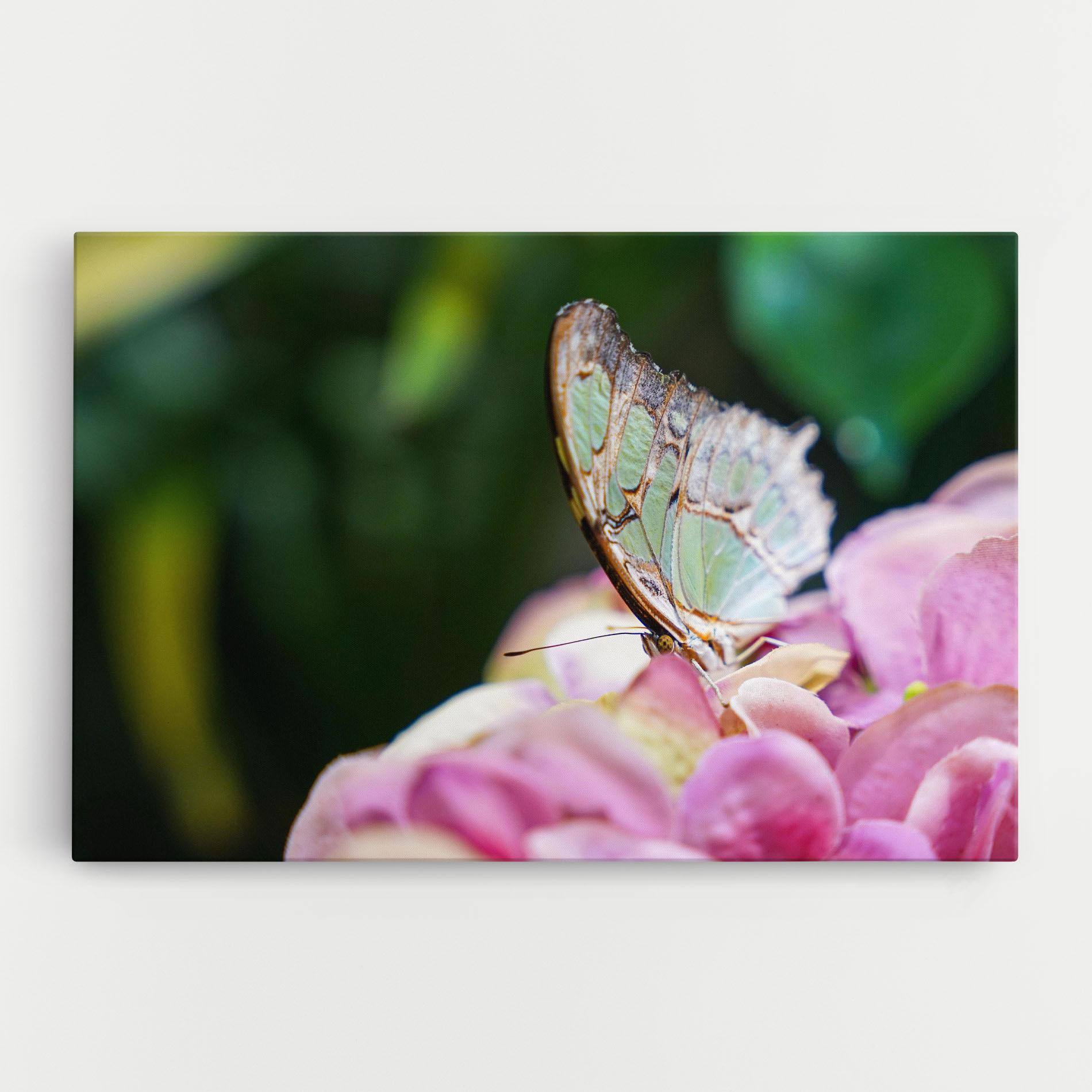 Vászonkép Nazrin Babashova DiUUmQMFWys Unsplash mockup 0