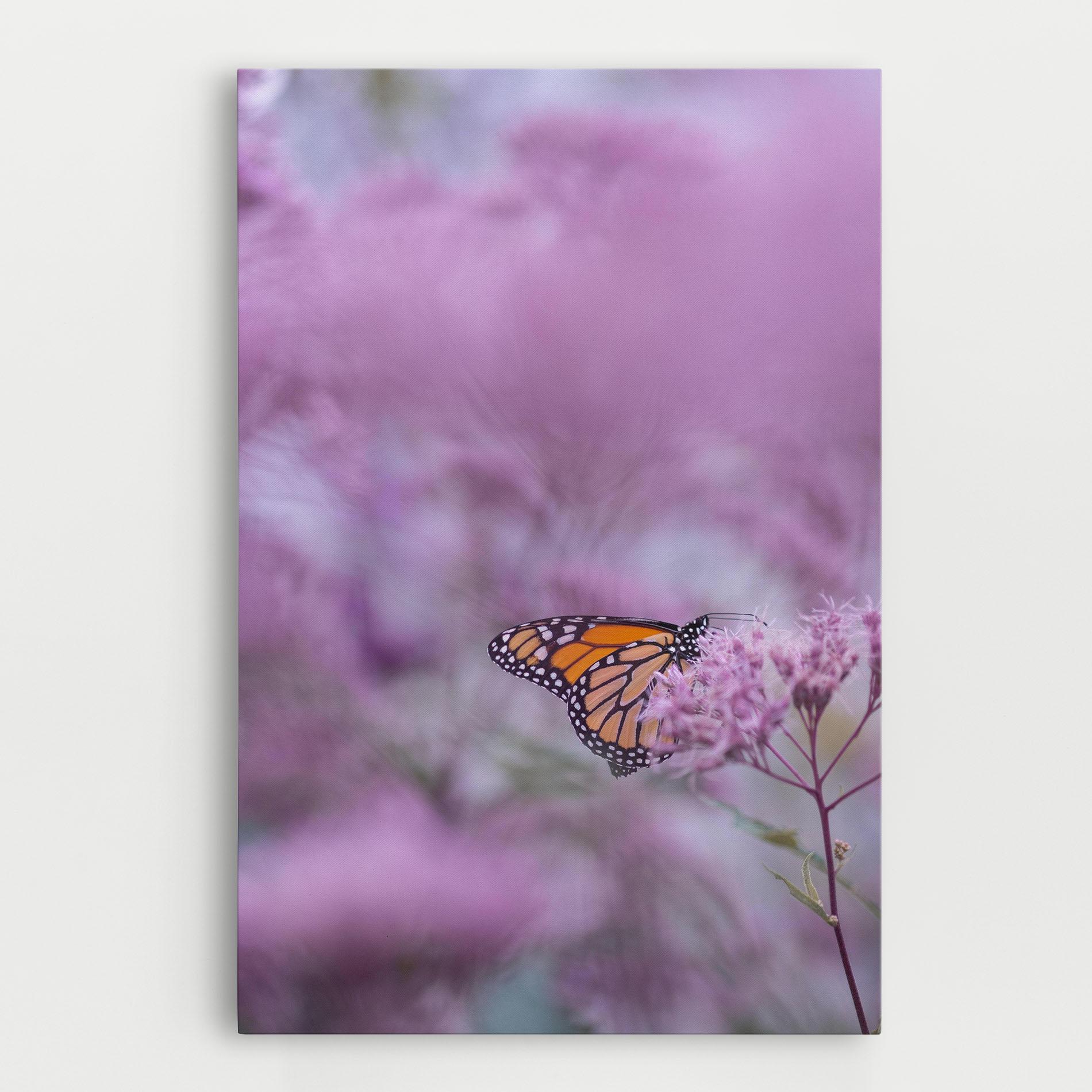Vászonkép Purple Flower Butterfly mockup 0