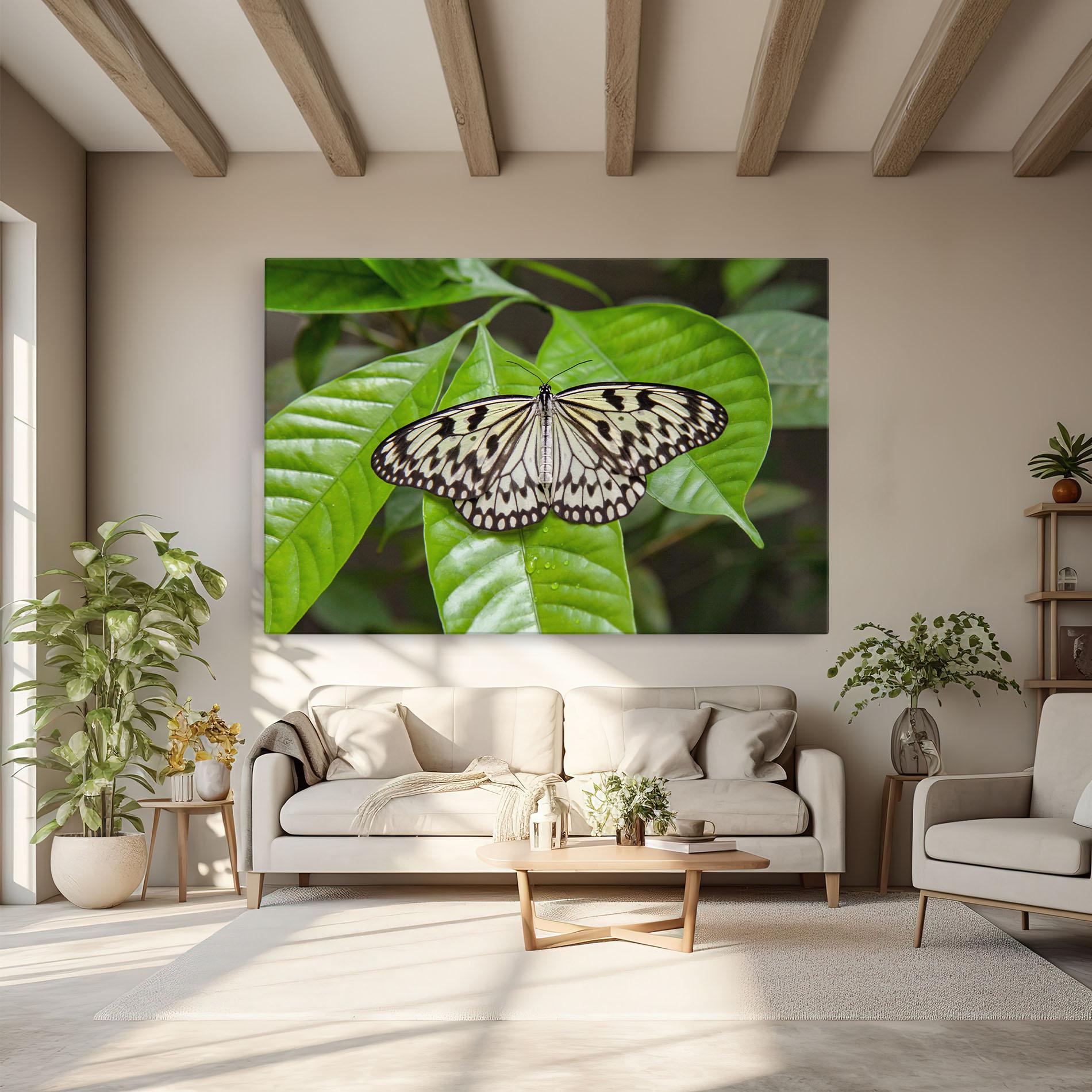 Vászonkép Beautiful White Butterfly mockup 6