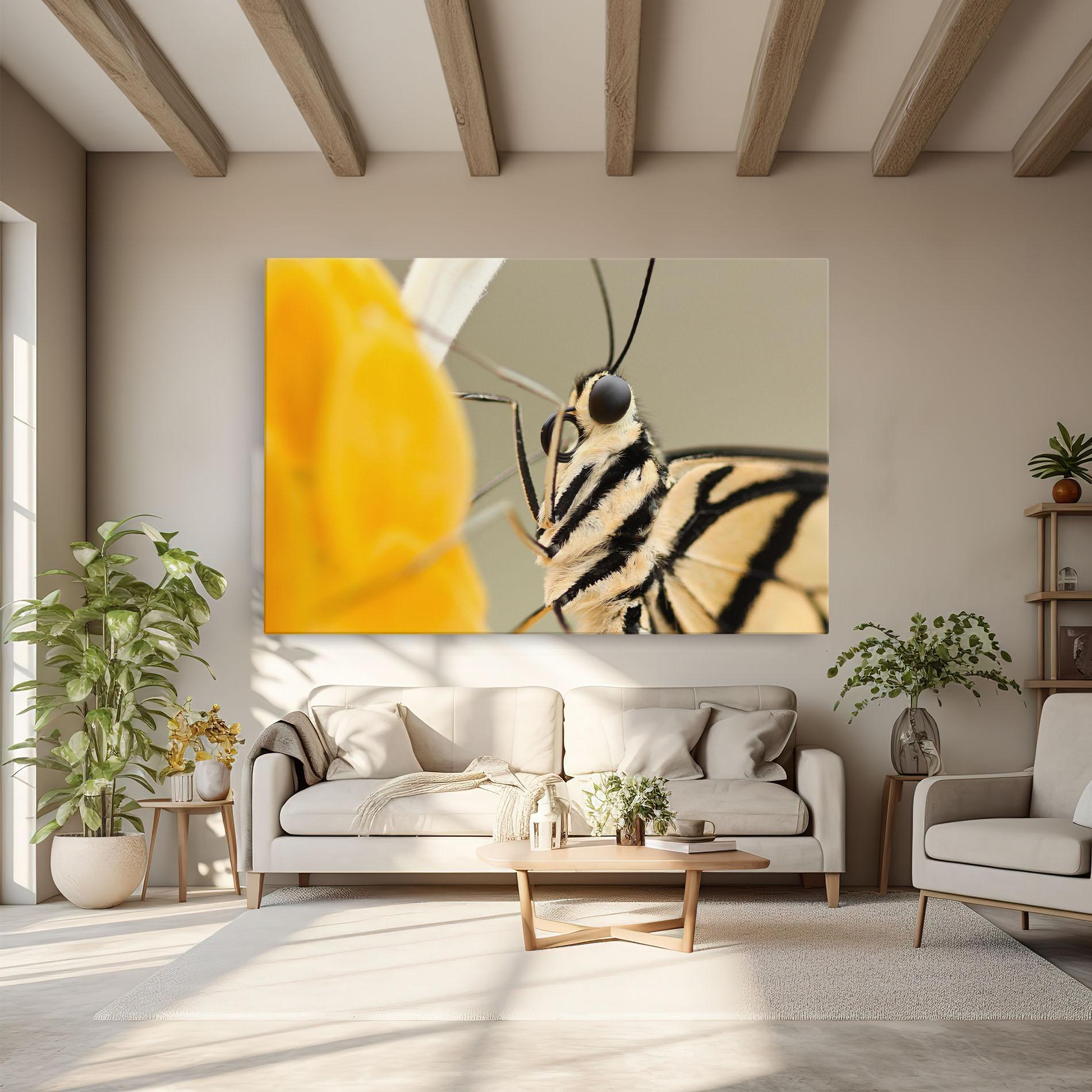 Vászonkép Close Up Cream Butterfly mockup 6