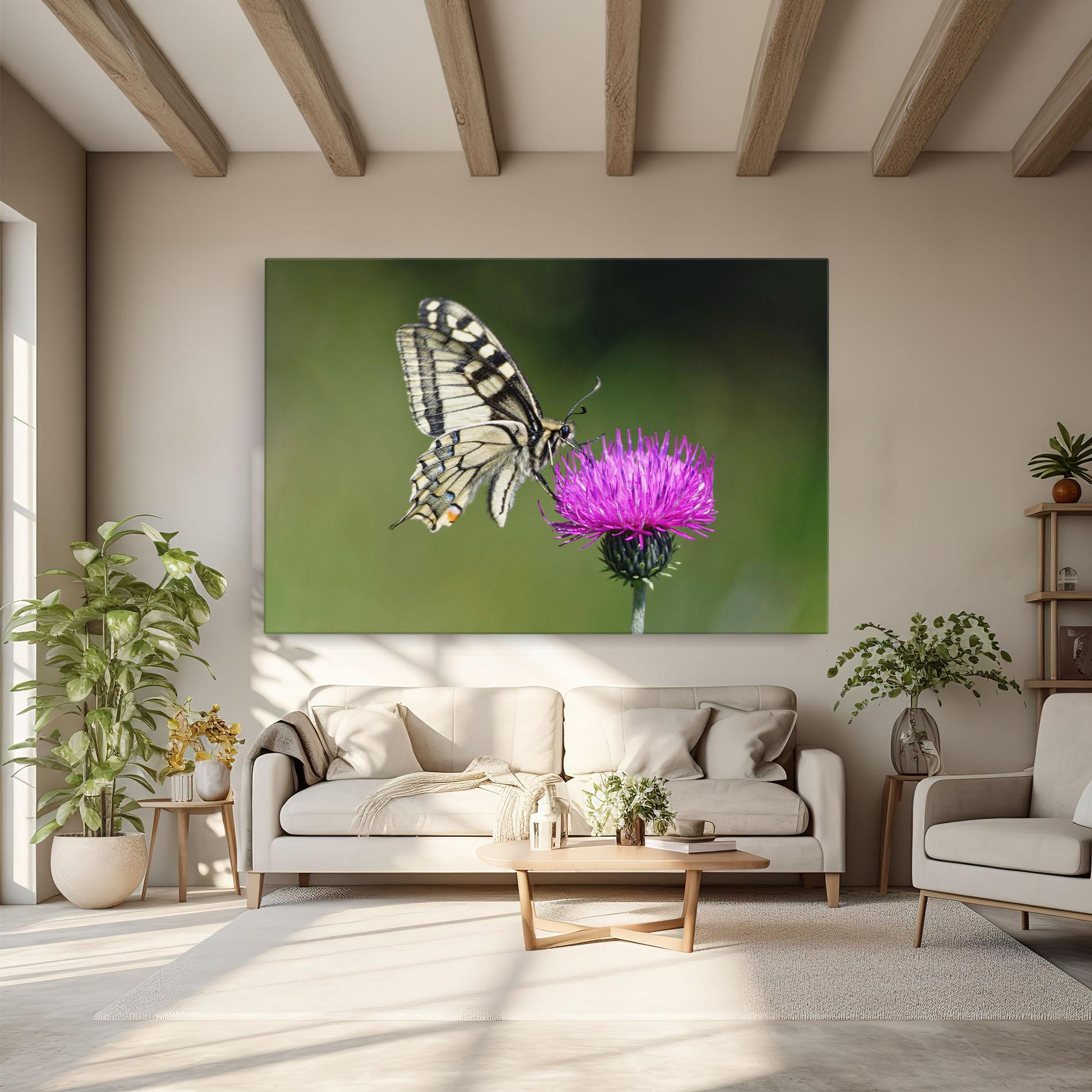 Vászonkép White Butterfly Pollen mockup 6