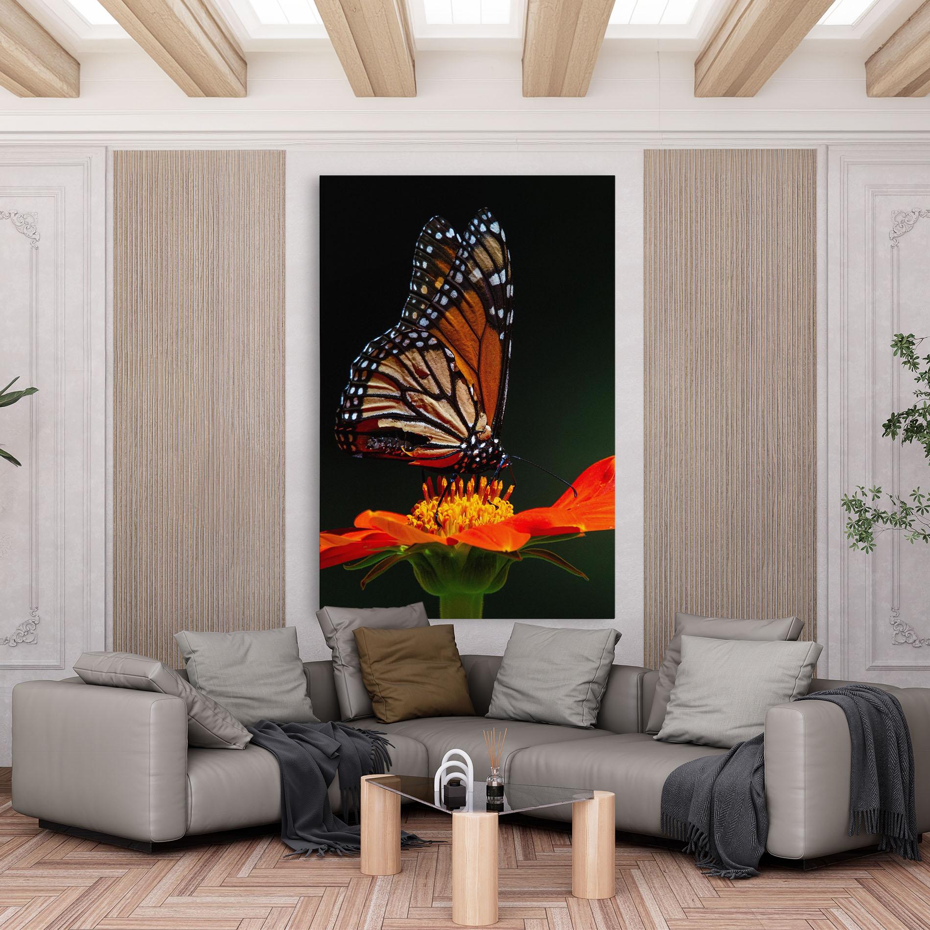 Vászonkép Dark Orange Butterfy mockup 6