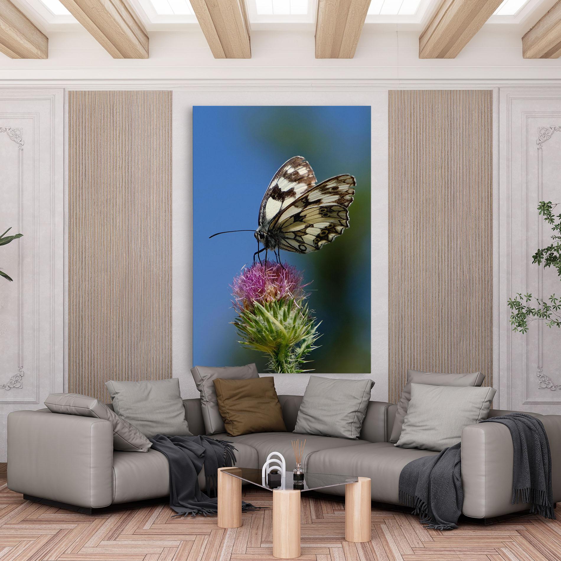 Vászonkép Grey White Butterfly mockup 6