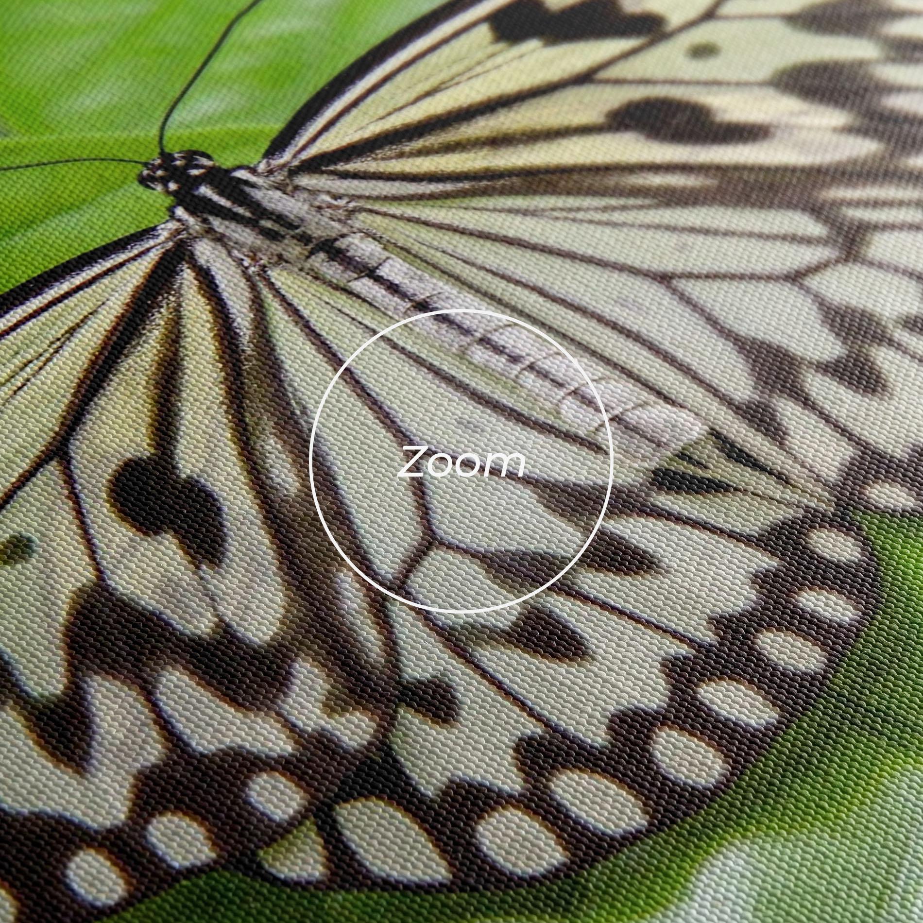 Vászonkép Beautiful White Butterfly mockup 3