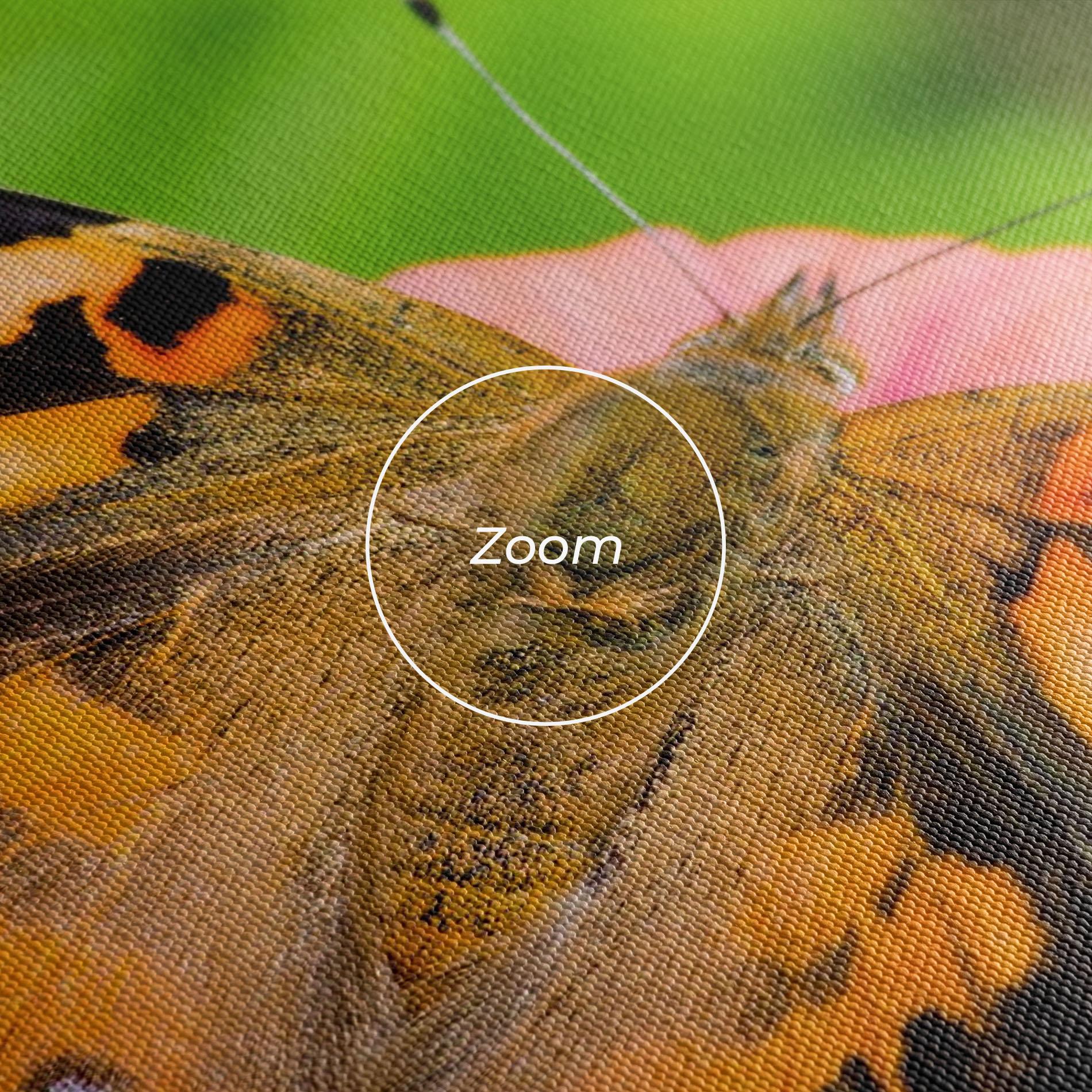 Vászonkép Butterfly On Flower mockup 3