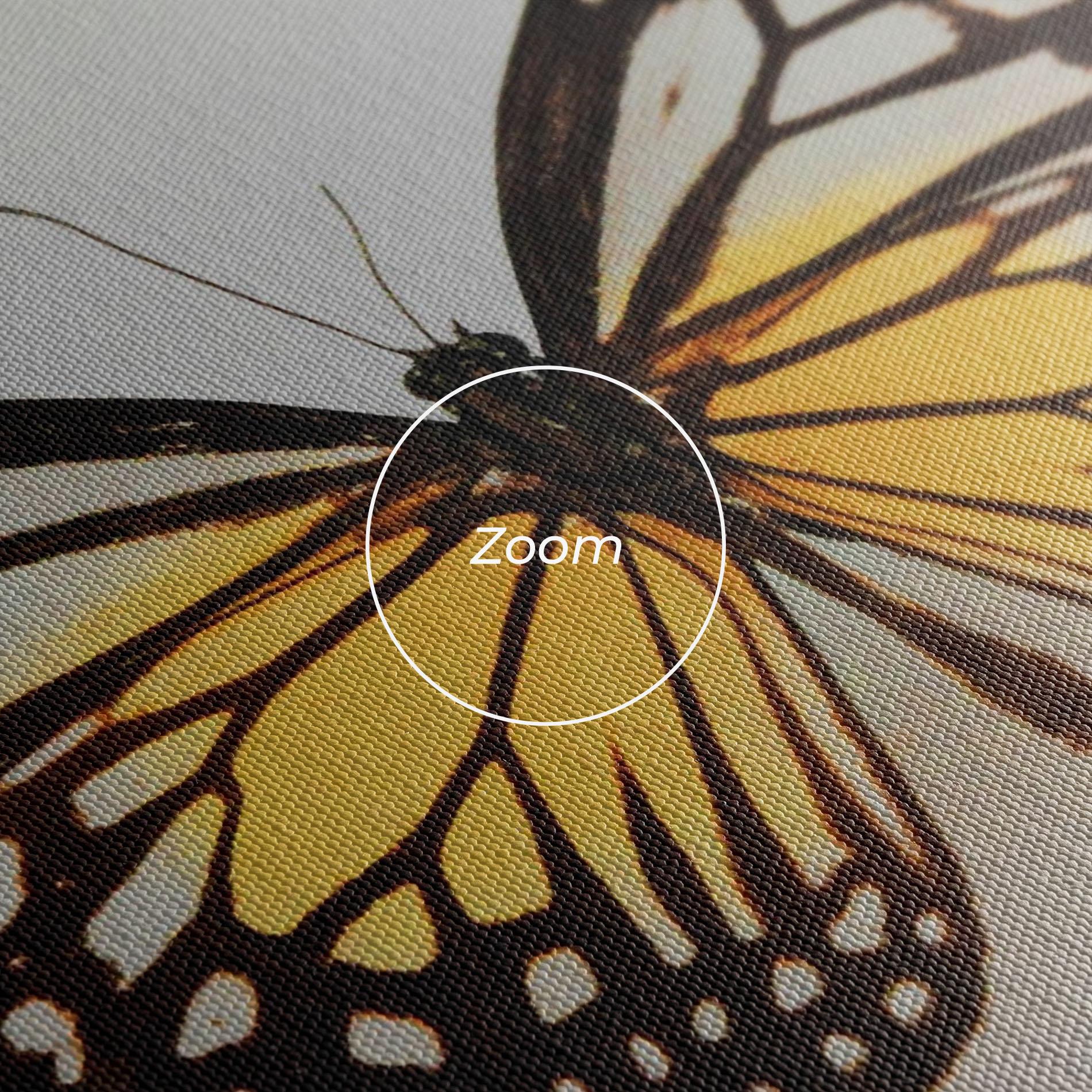 Vászonkép Butterfly On Grey mockup 3