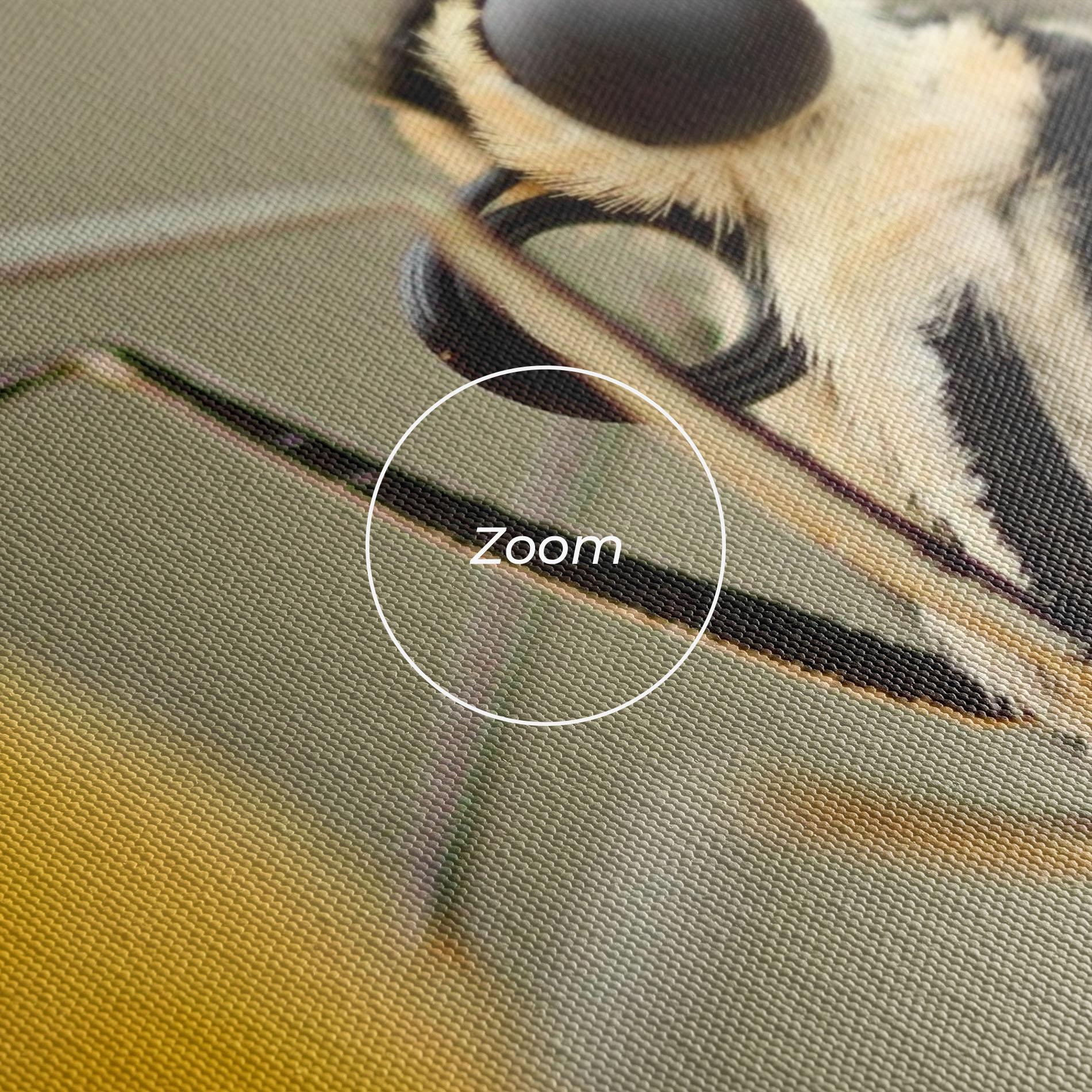 Vászonkép Close Up Cream Butterfly mockup 3