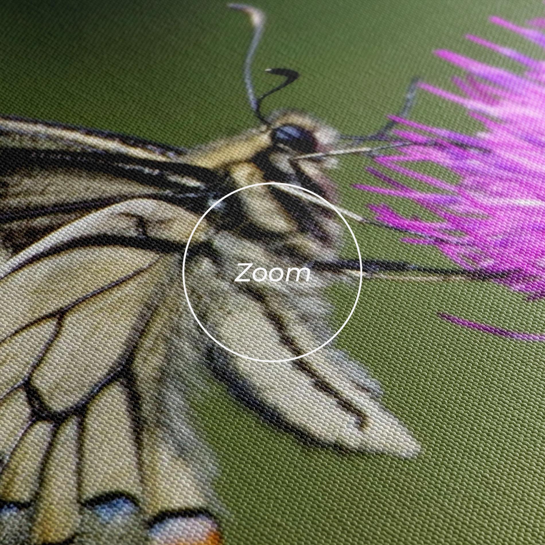 Vászonkép White Butterfly Pollen mockup 3