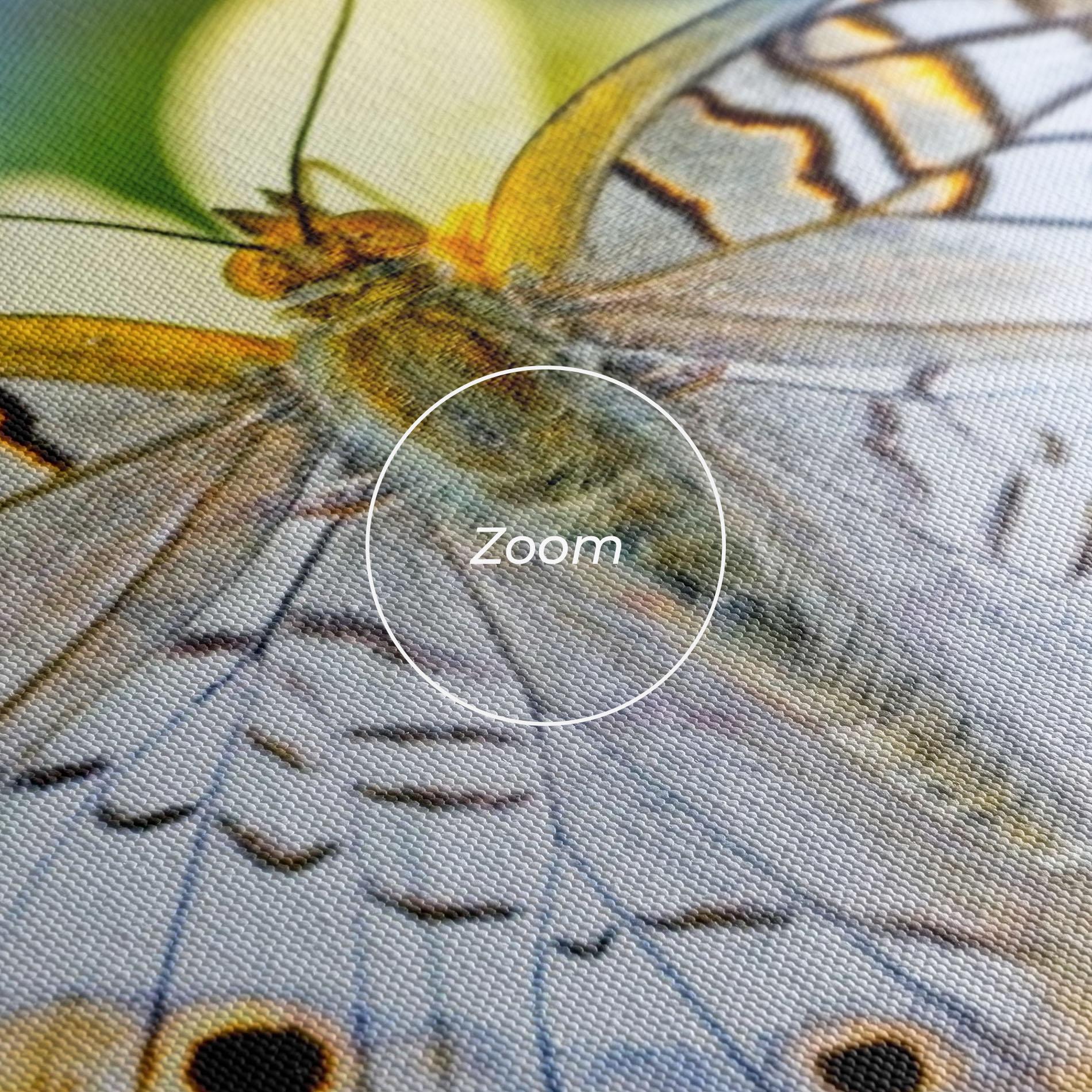 Vászonkép Yellow Grey Butterfly mockup 3