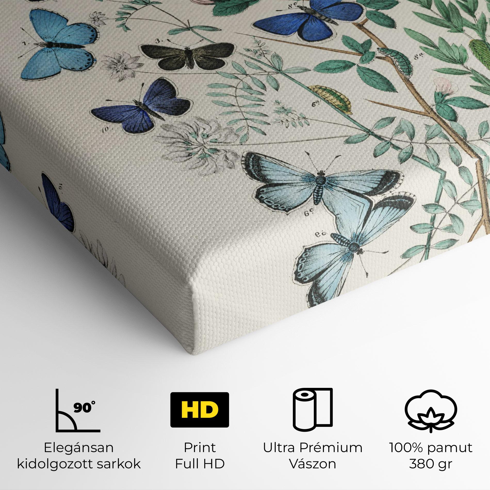 Vászonkép Blue Orange Butterflies mockup 4