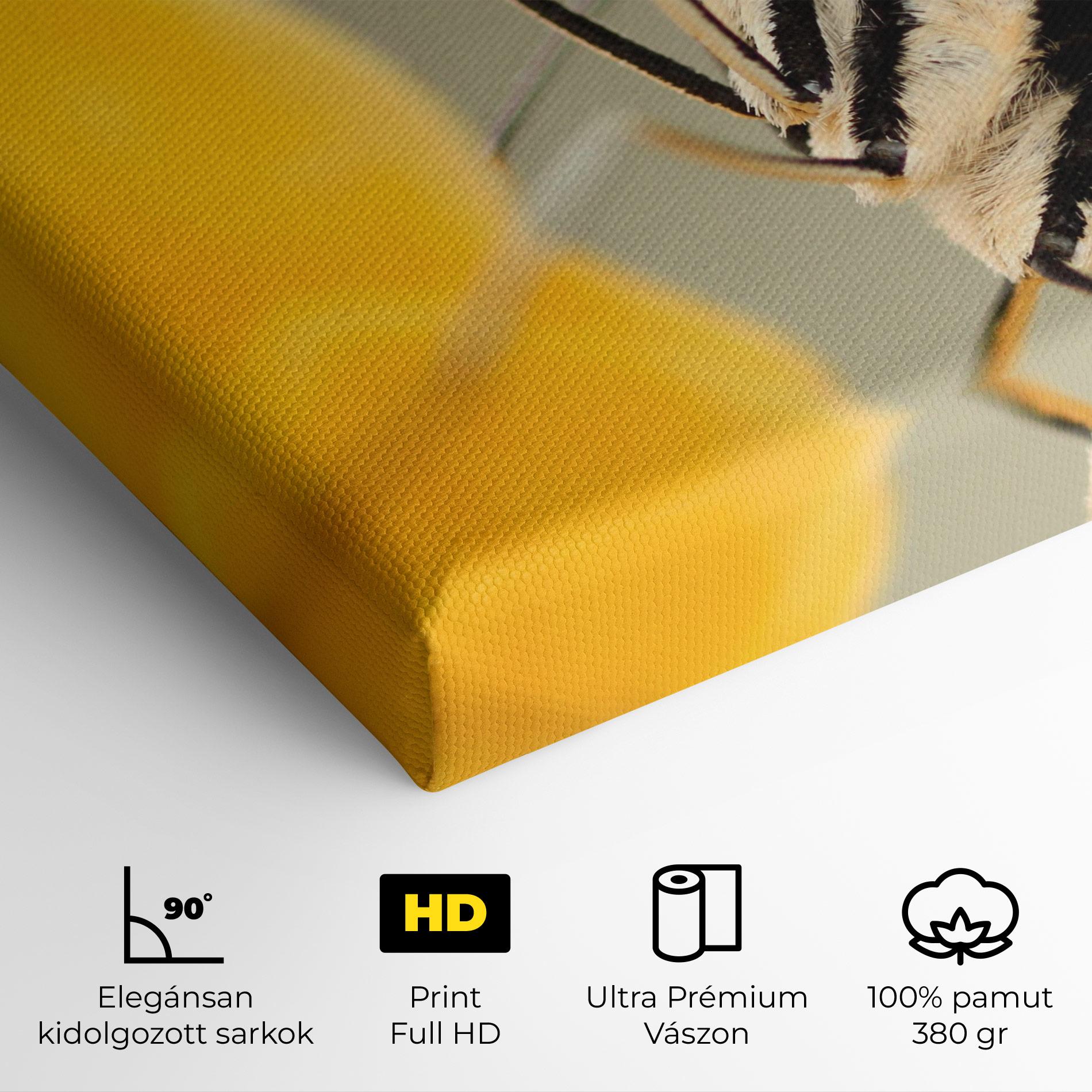 Vászonkép Close Up Cream Butterfly mockup 4