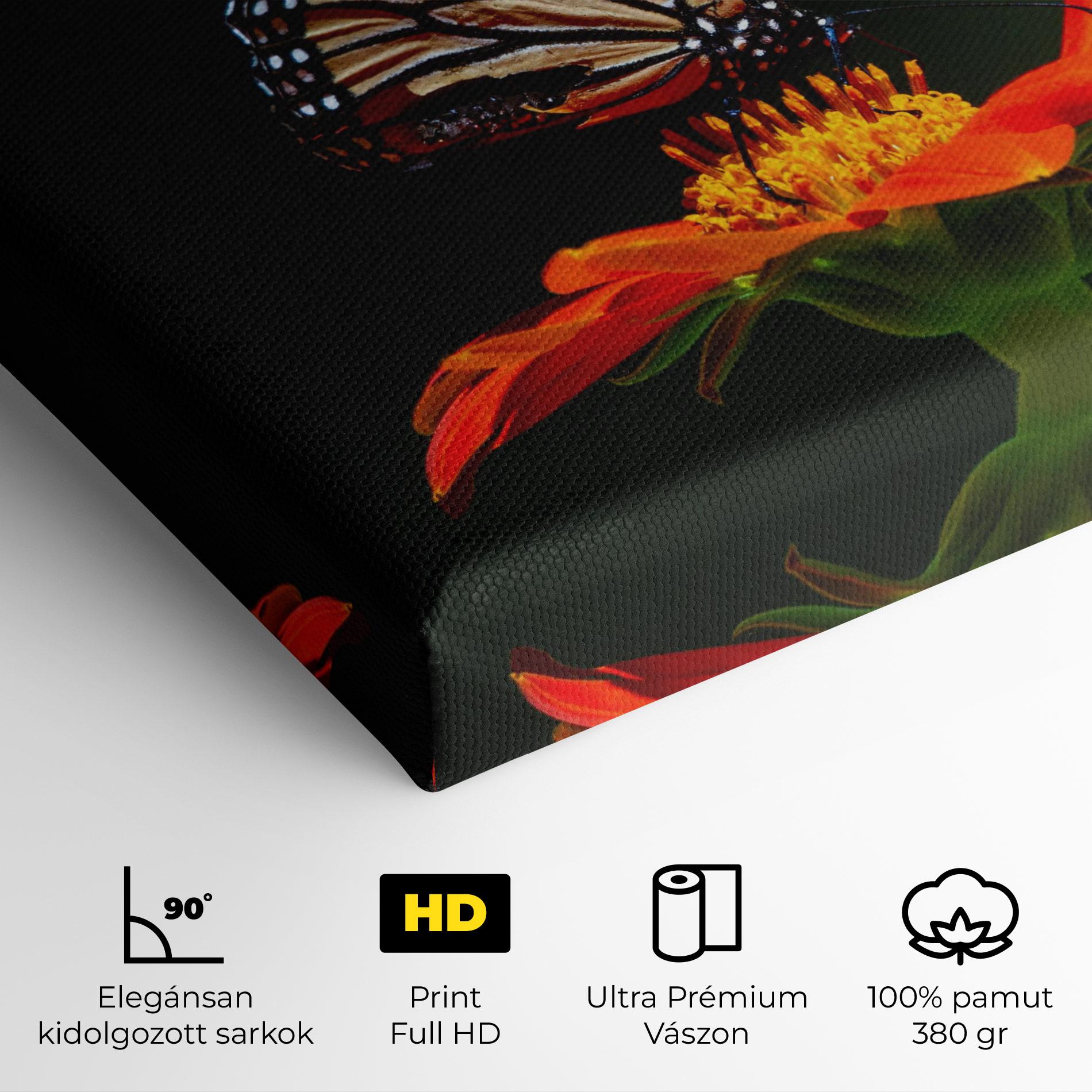 Vászonkép Dark Orange Butterfy mockup 4