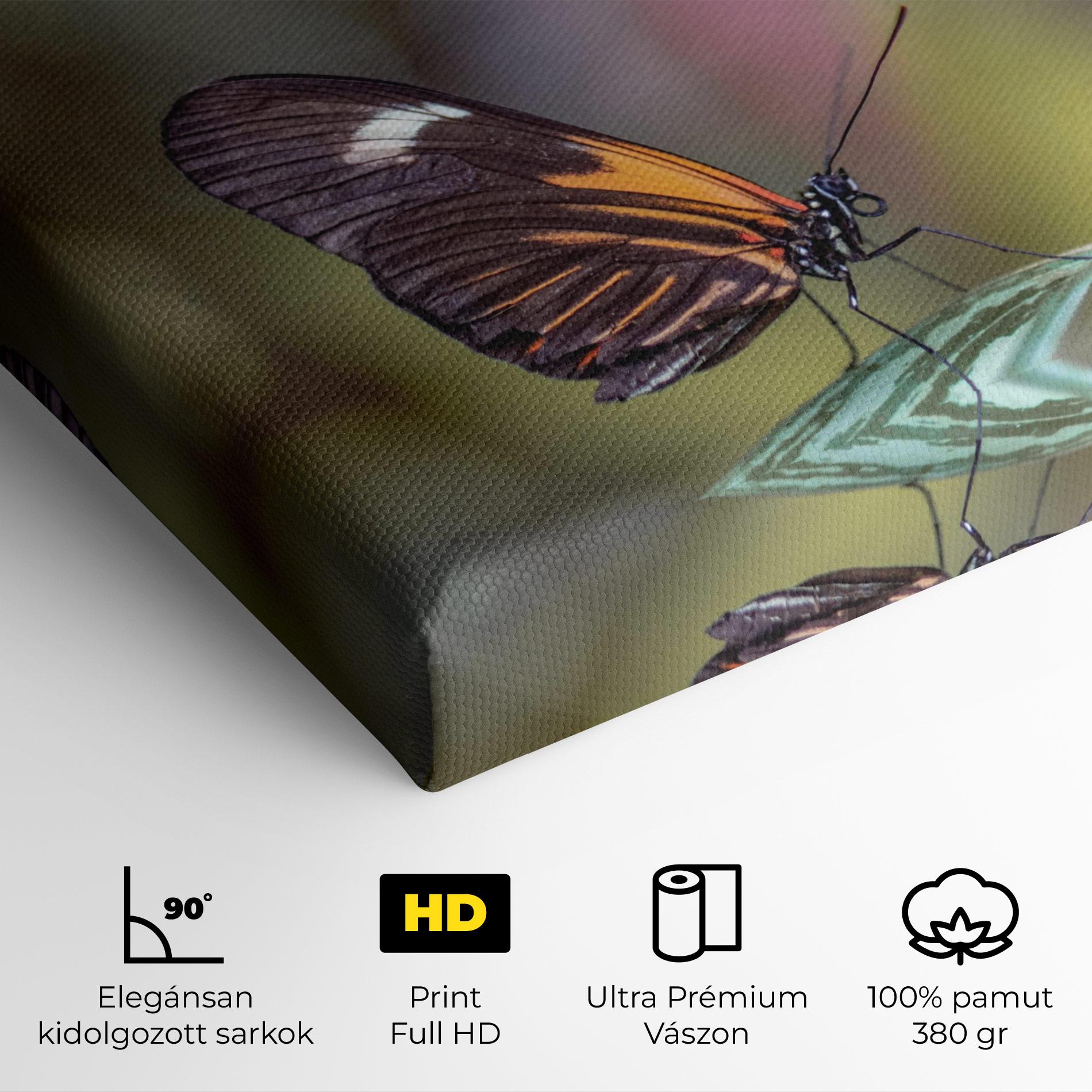 Vászonkép Dark Purple Butterfly mockup 4
