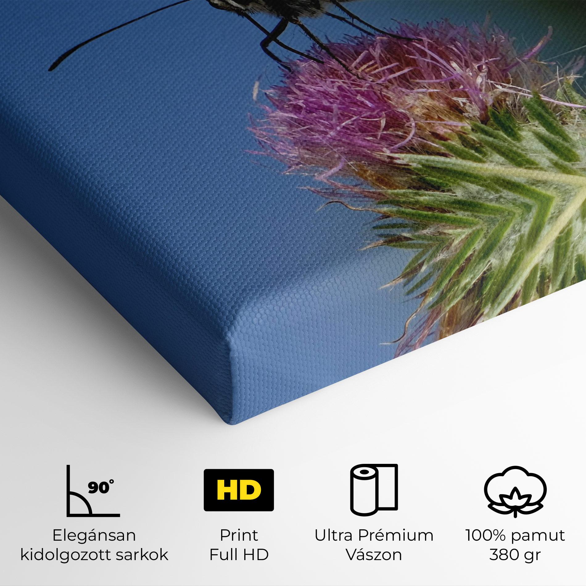 Vászonkép Grey White Butterfly mockup 4