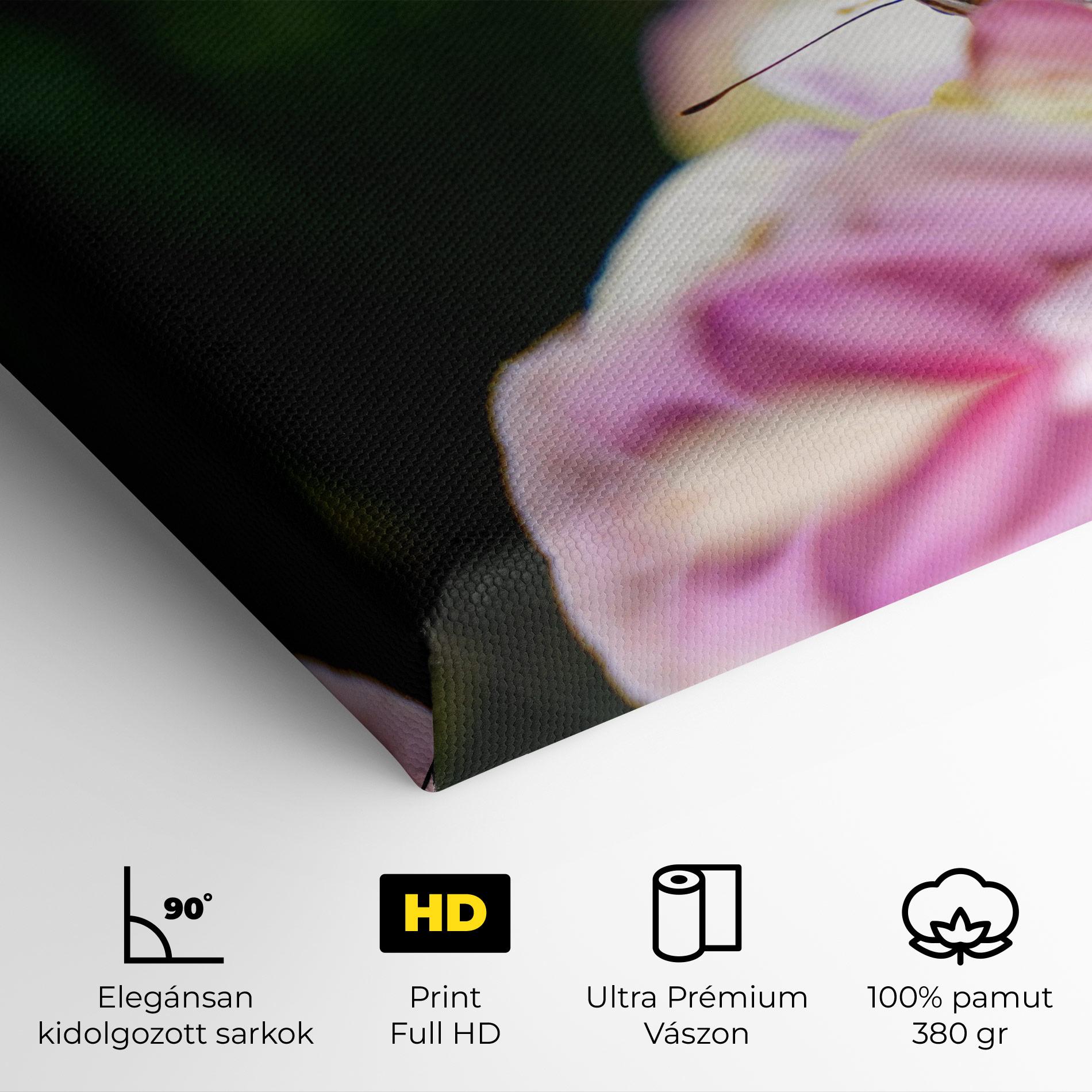 Vászonkép Nazrin Babashova DiUUmQMFWys Unsplash mockup 4