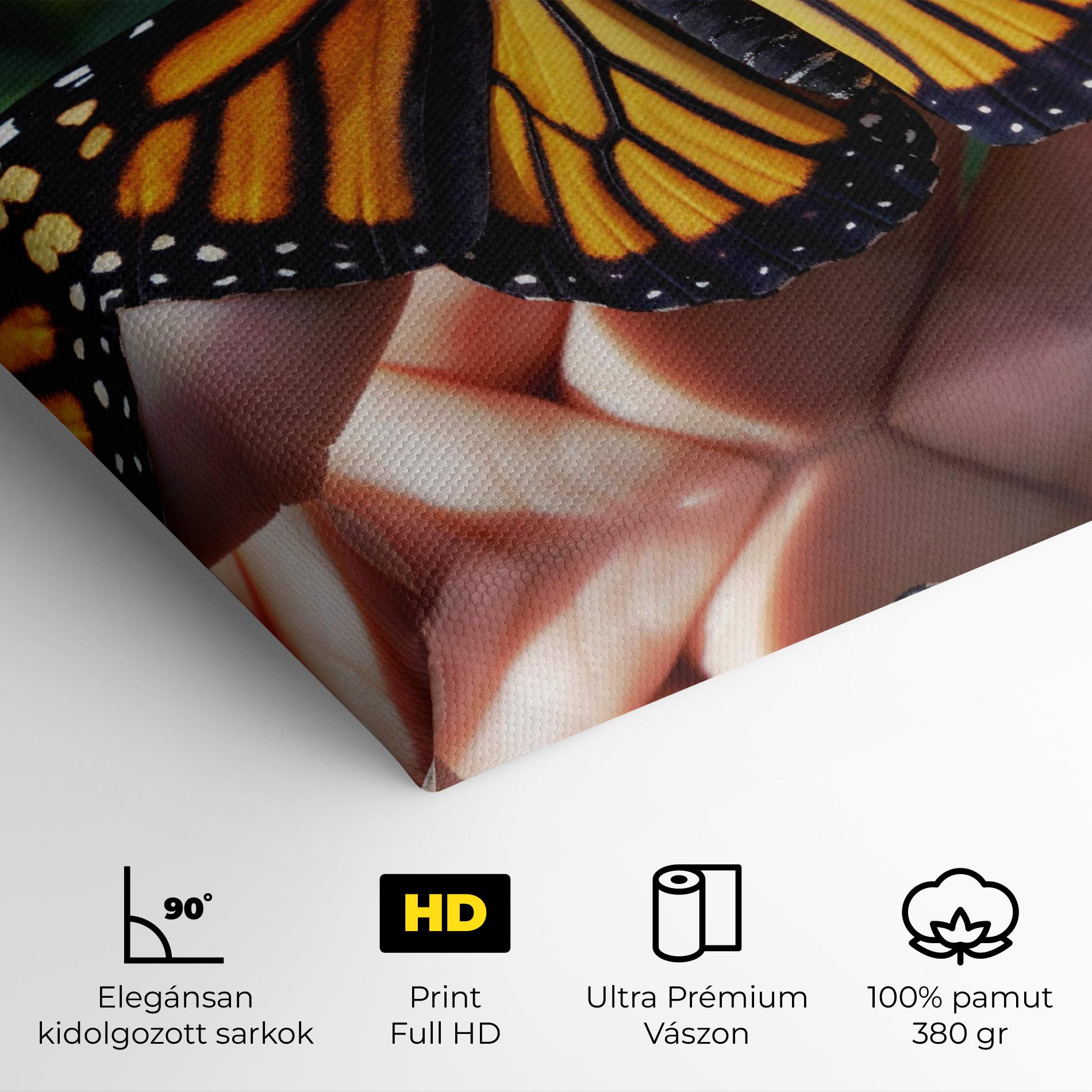 Vászonkép Open Orange Butterfly mockup 4