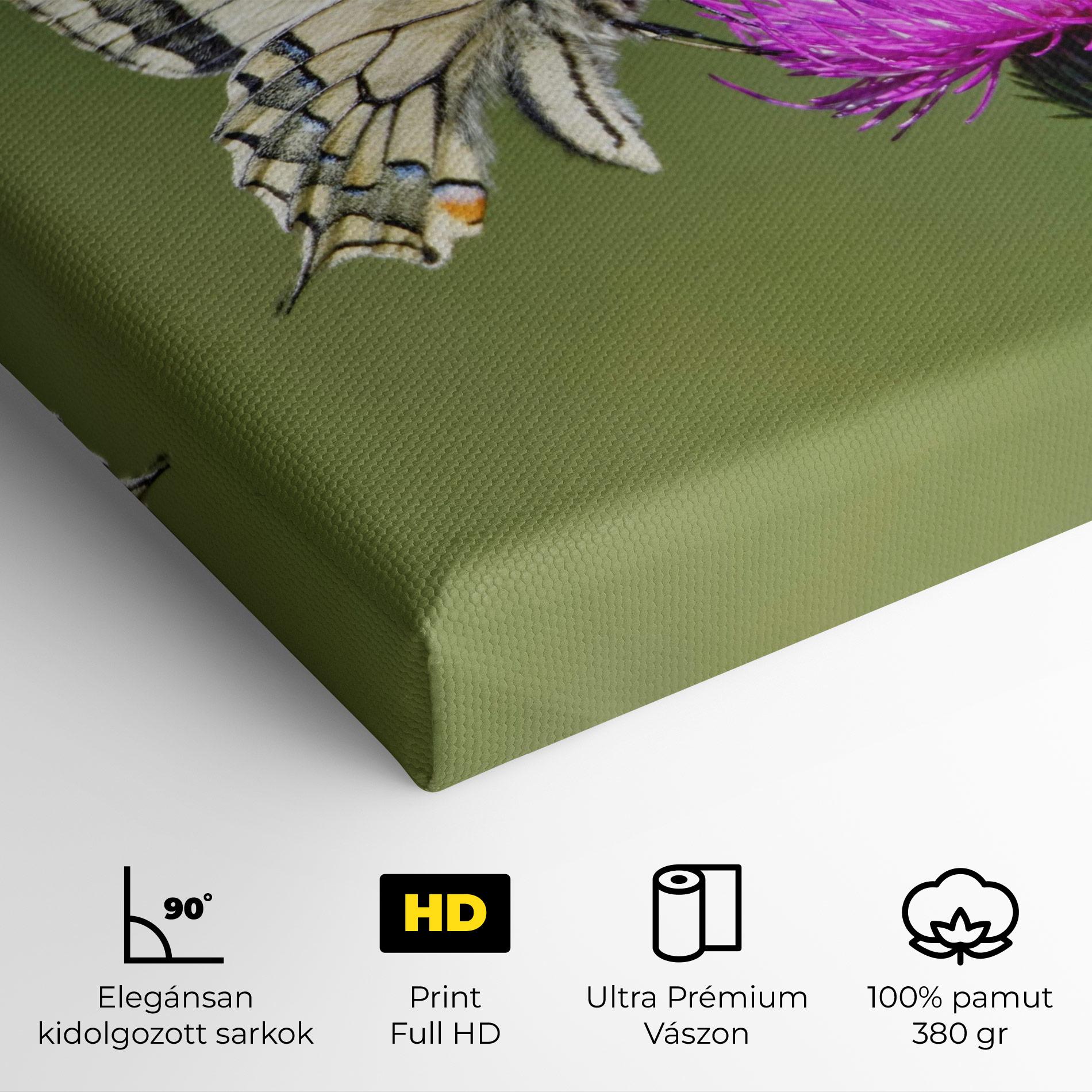 Vászonkép White Butterfly Pollen mockup 4