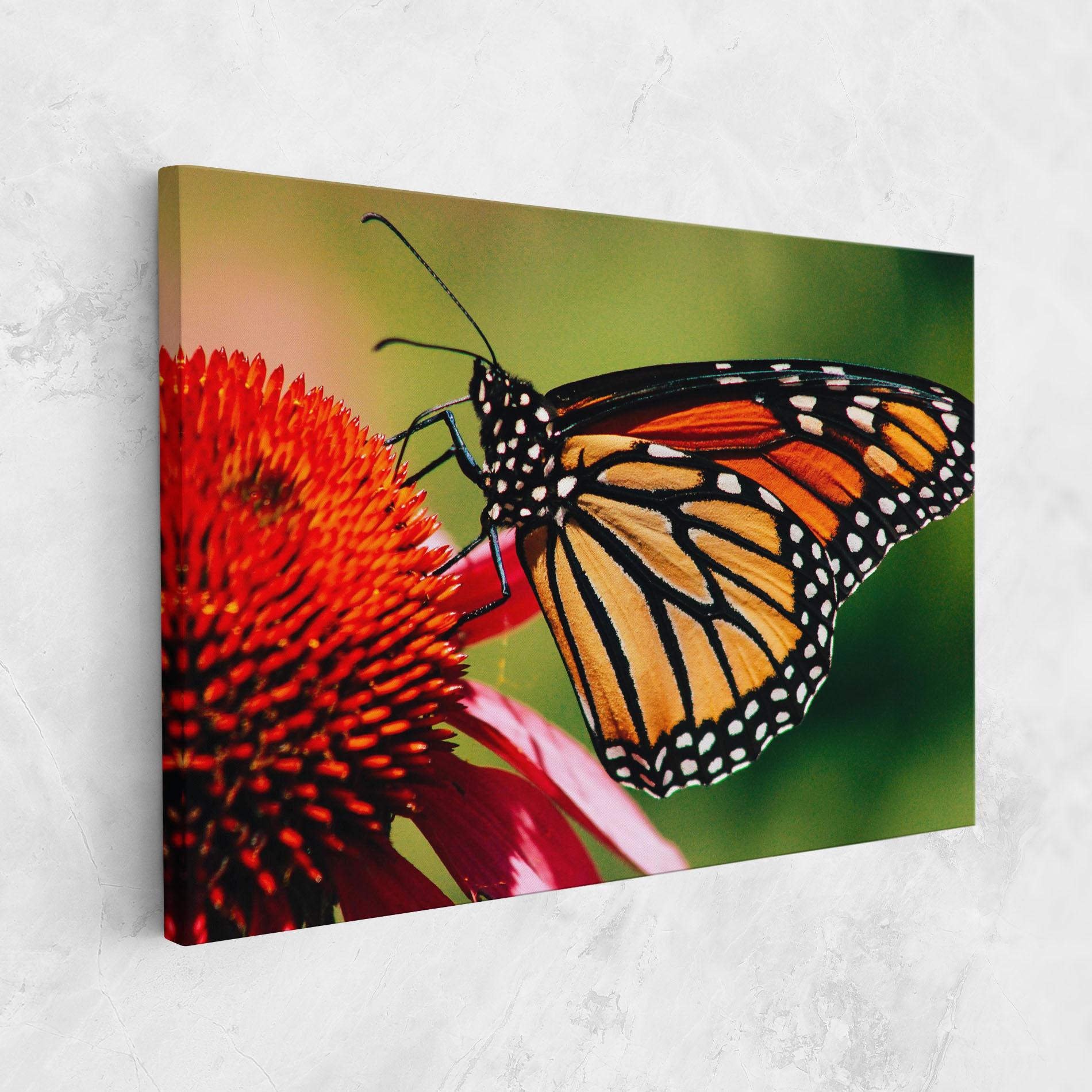 Vászonkép Big Orange Butterfly mockup 1