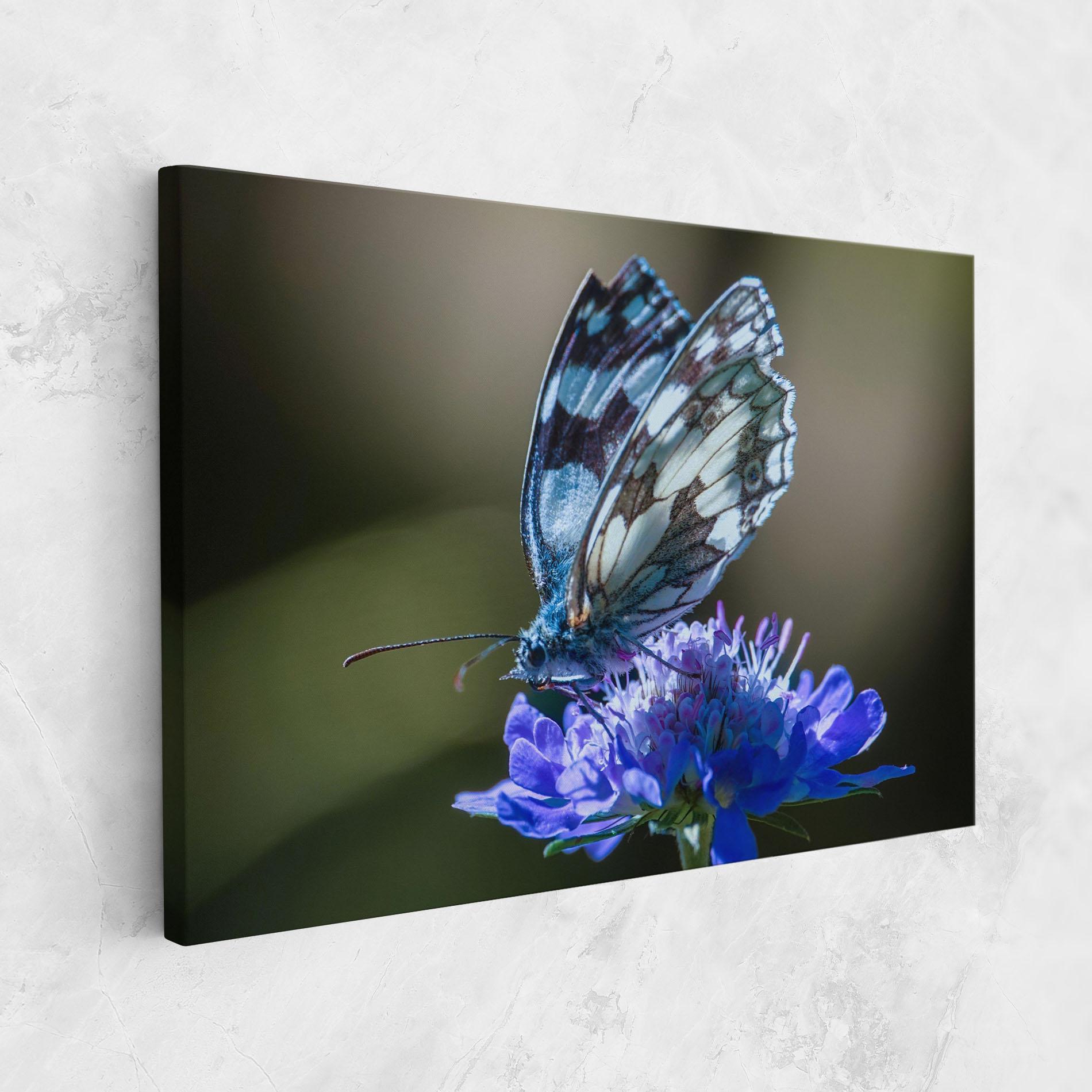 Vászonkép Blue Butterfly In Nature mockup 1