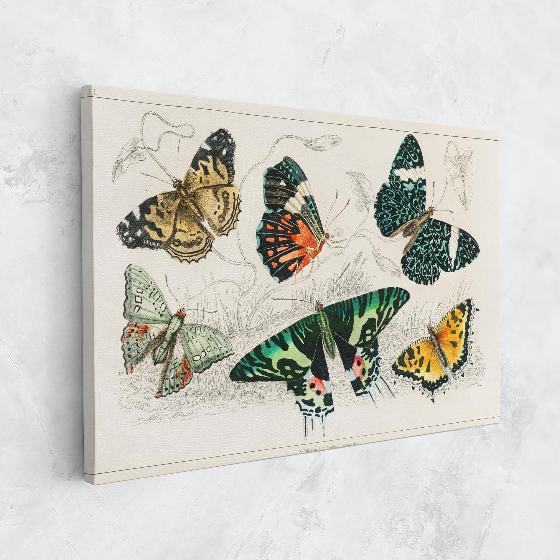 Vászonkép Butterfly Art mockup 1