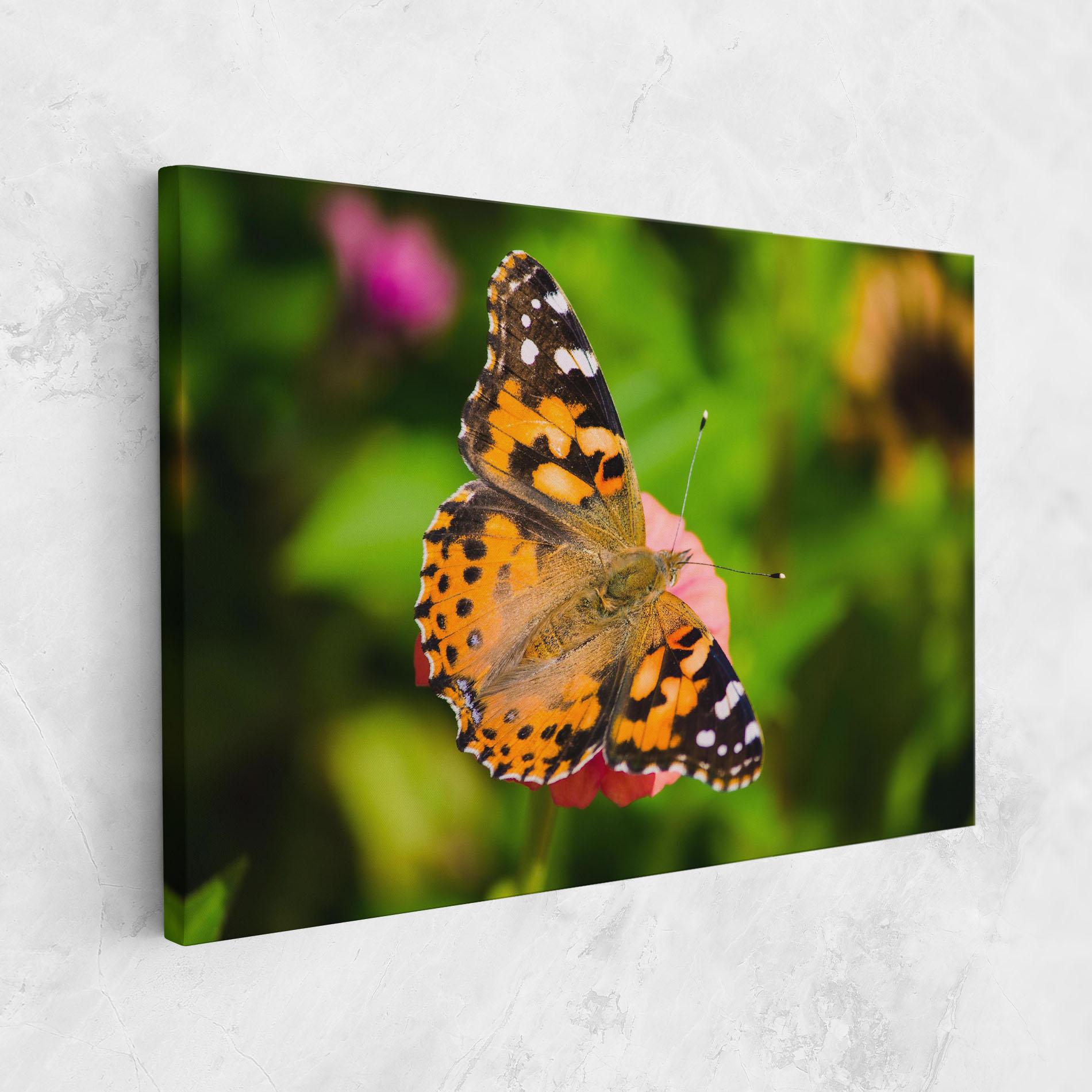 Vászonkép Butterfly On Flower mockup 1