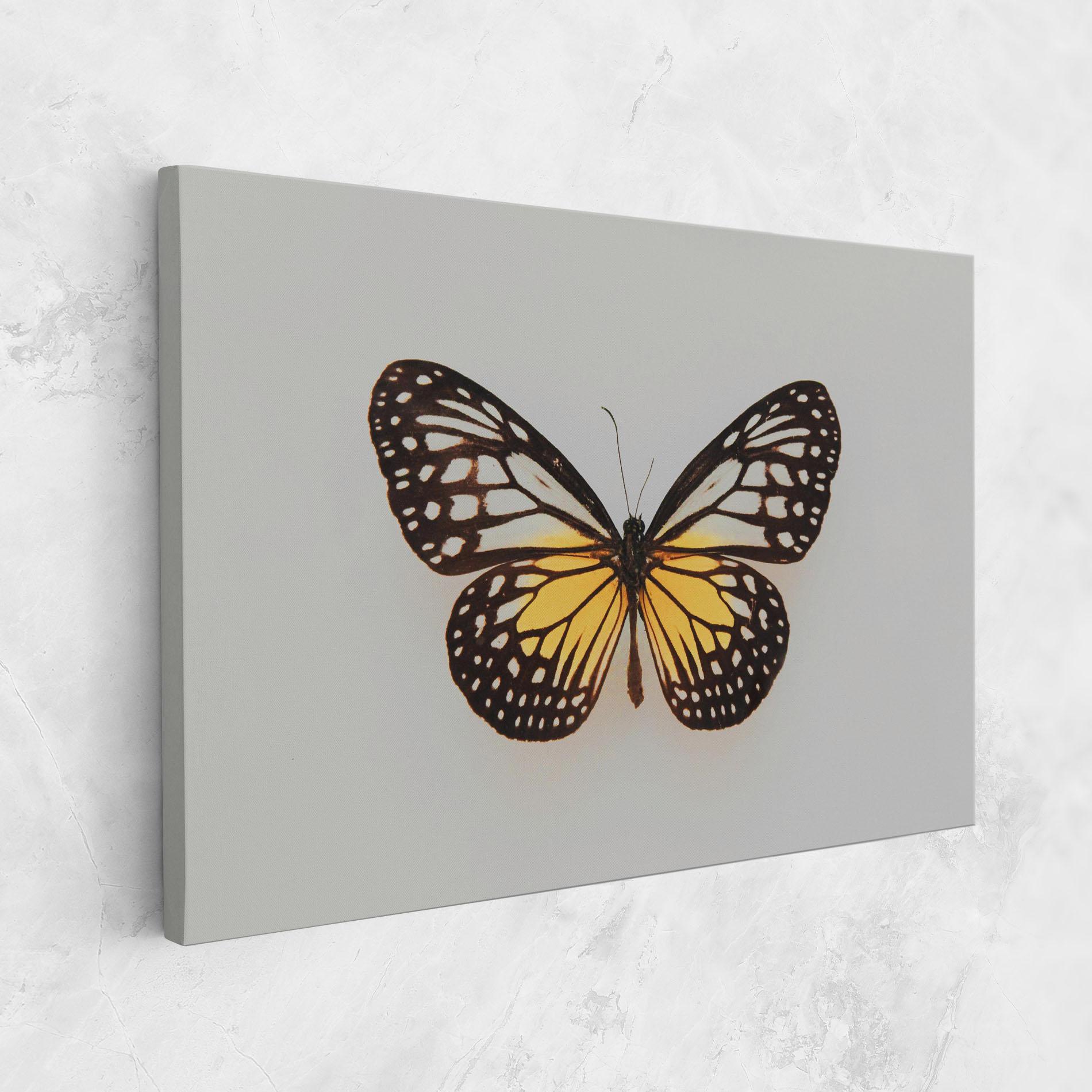 Vászonkép Butterfly On Grey mockup 1