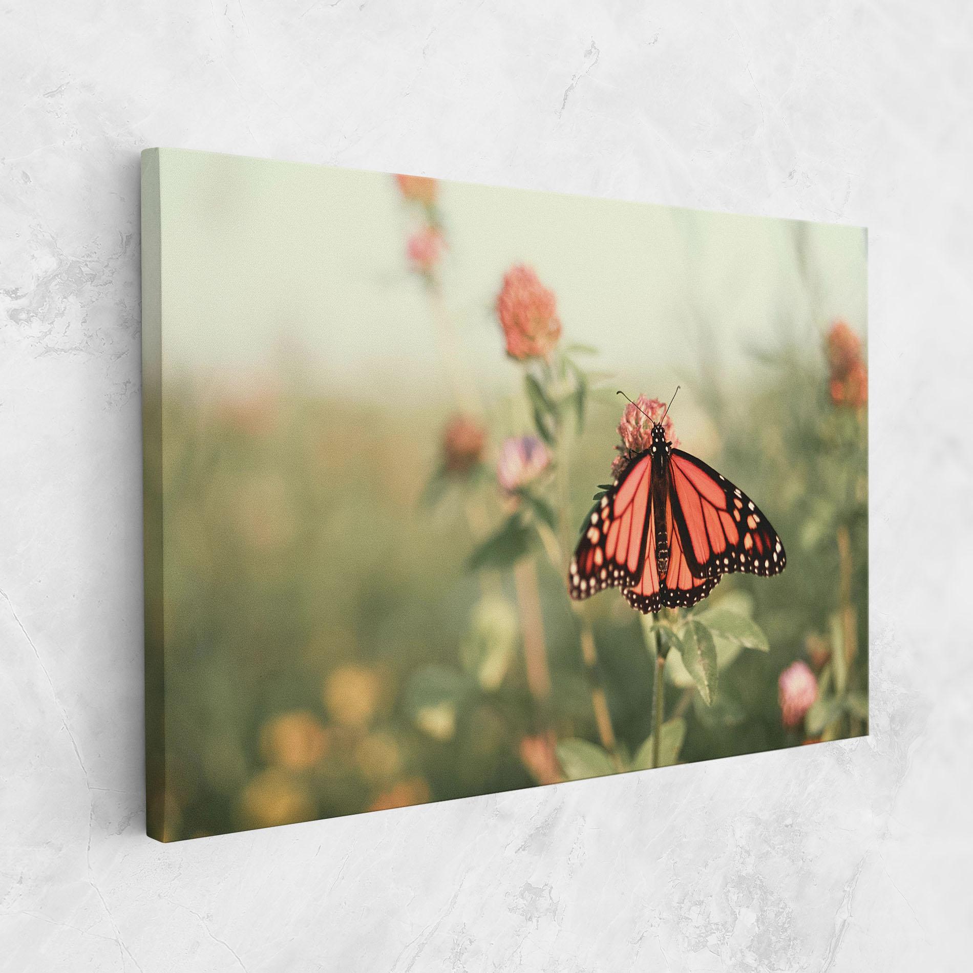 Vászonkép Light Red Butterfly mockup 1