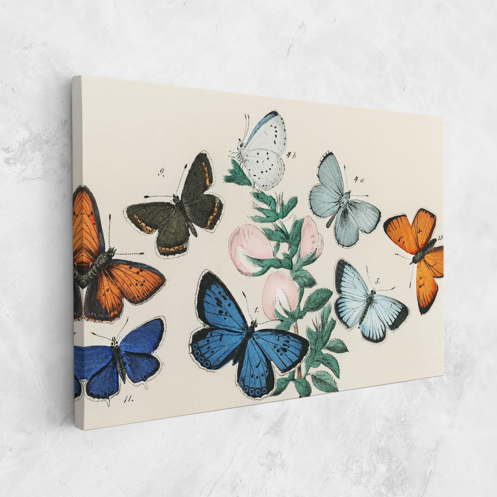 Vászonkép Moving Butterflies mockup 1